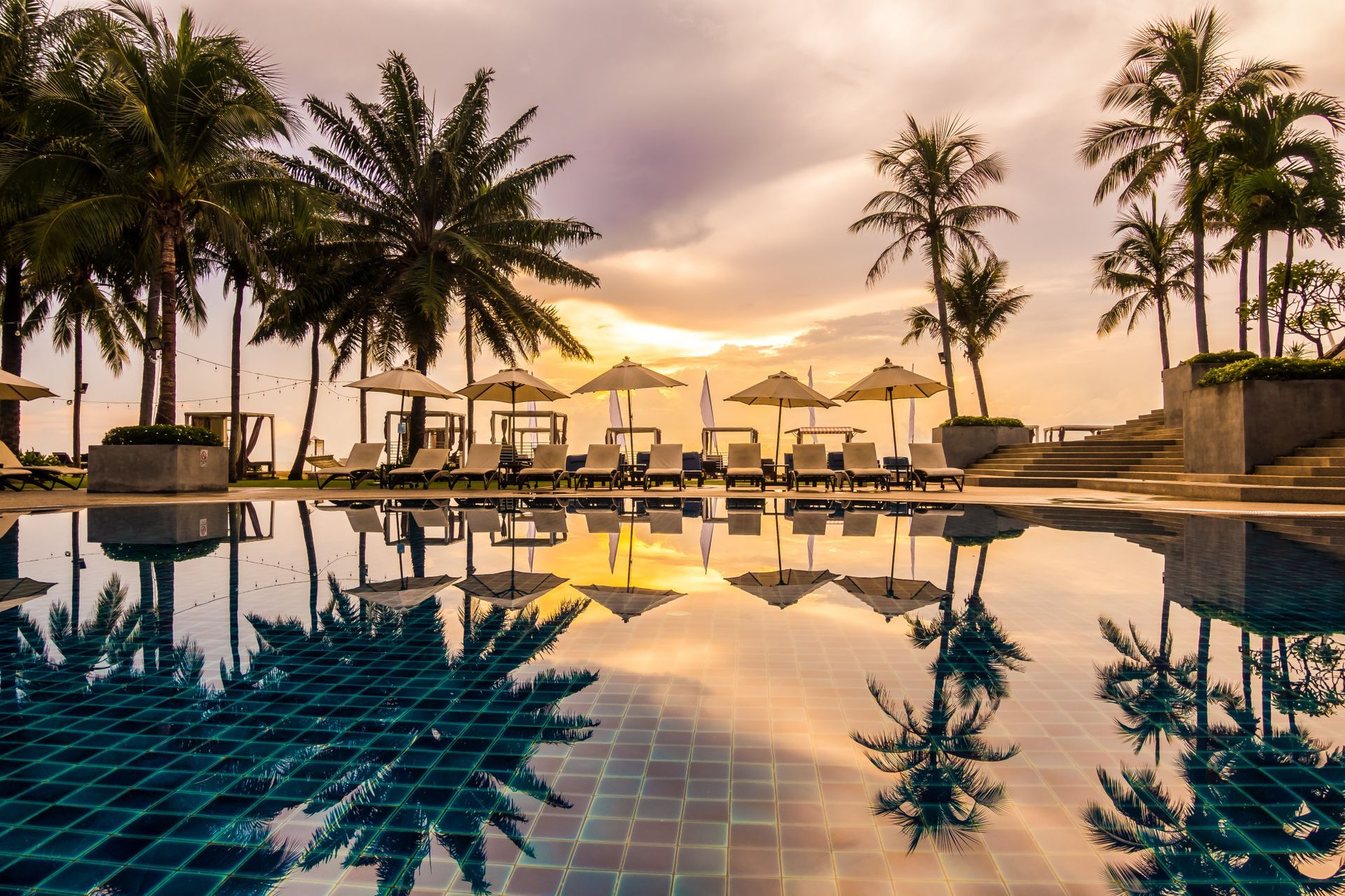 A swimming pool surrounded by palm trees and chairs at sunset.
