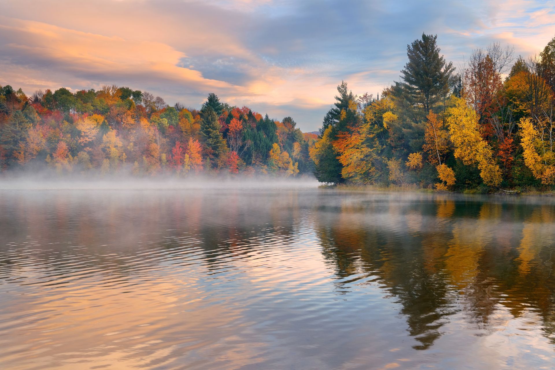 A foggy lake surrounded by trees in autumn