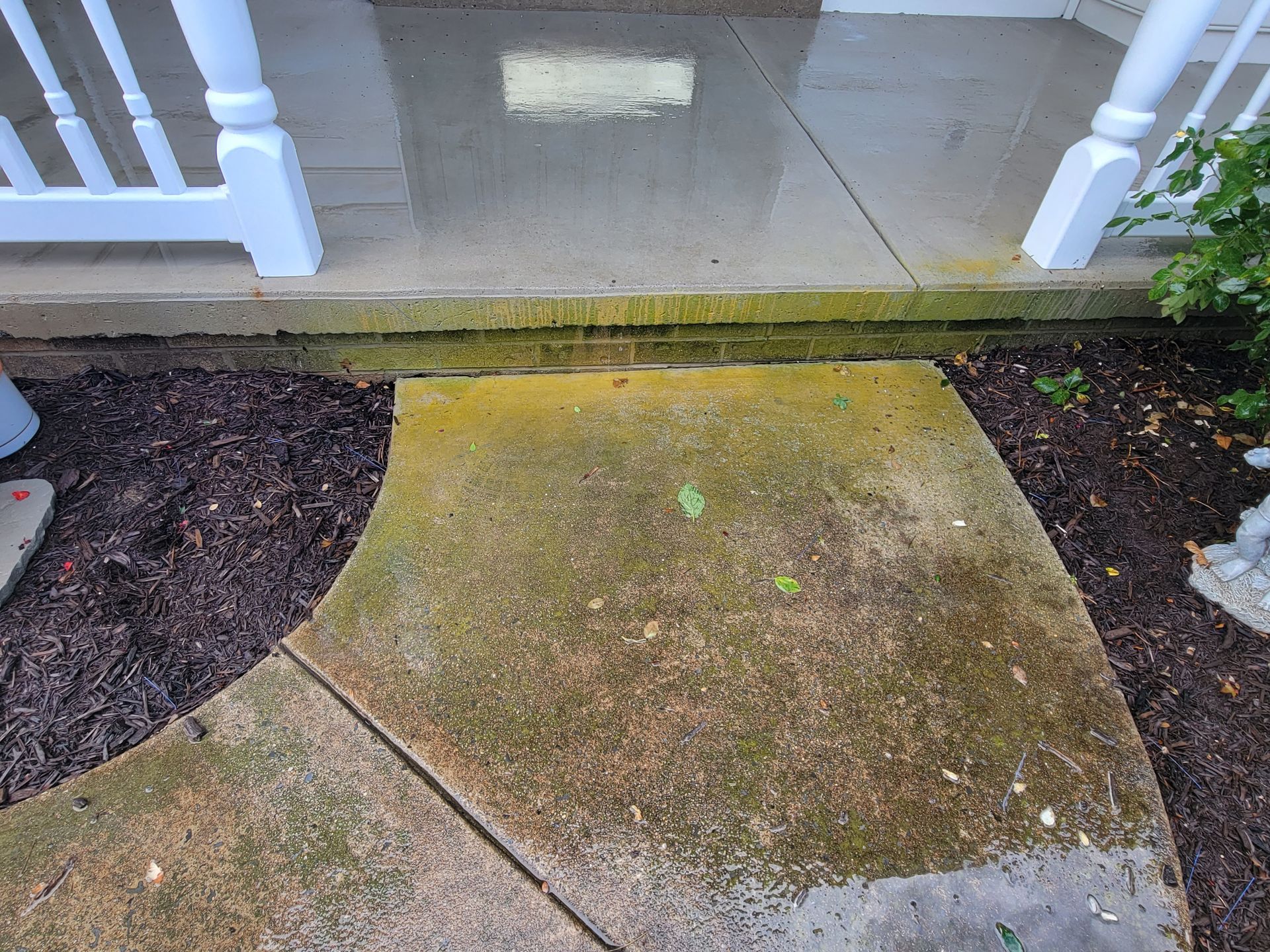 before concrete sidewalk and porch surface cleaning algae removal power washing pressure washing near me Enola PA