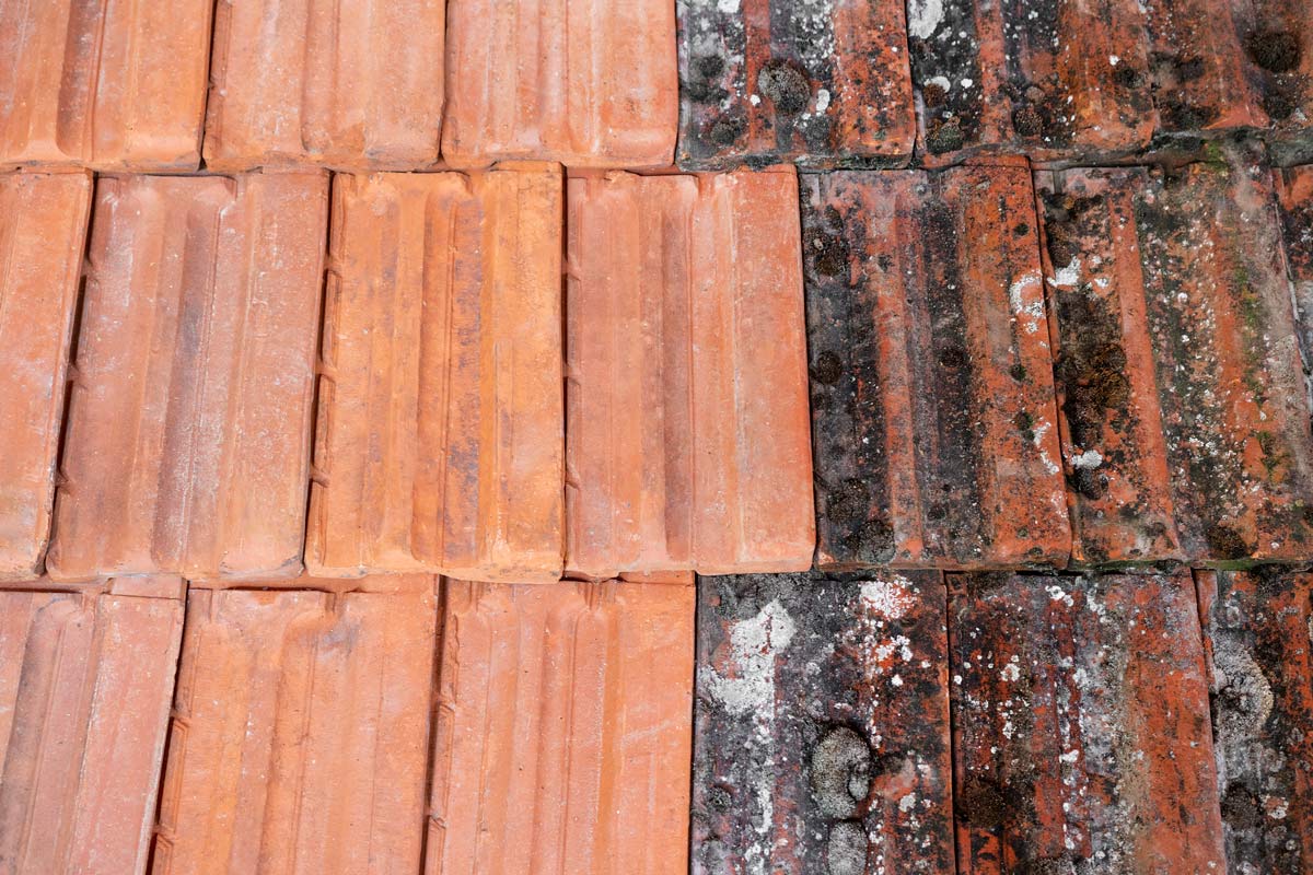 Pressure, Power & House Soft Washing Experts of Harrisburg, PA