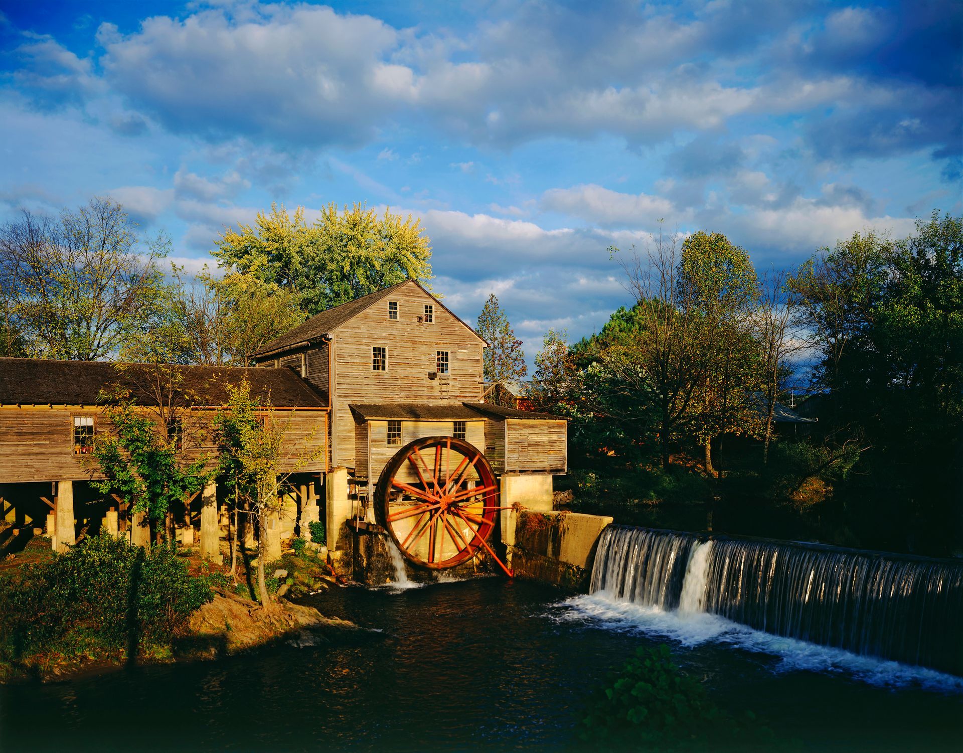 Couple holding hands at wedding ceremony, officiant in background, floral arch, sunny outdoor setting.