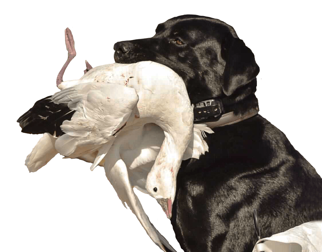 Central Nebraska Outfitters — photo 1