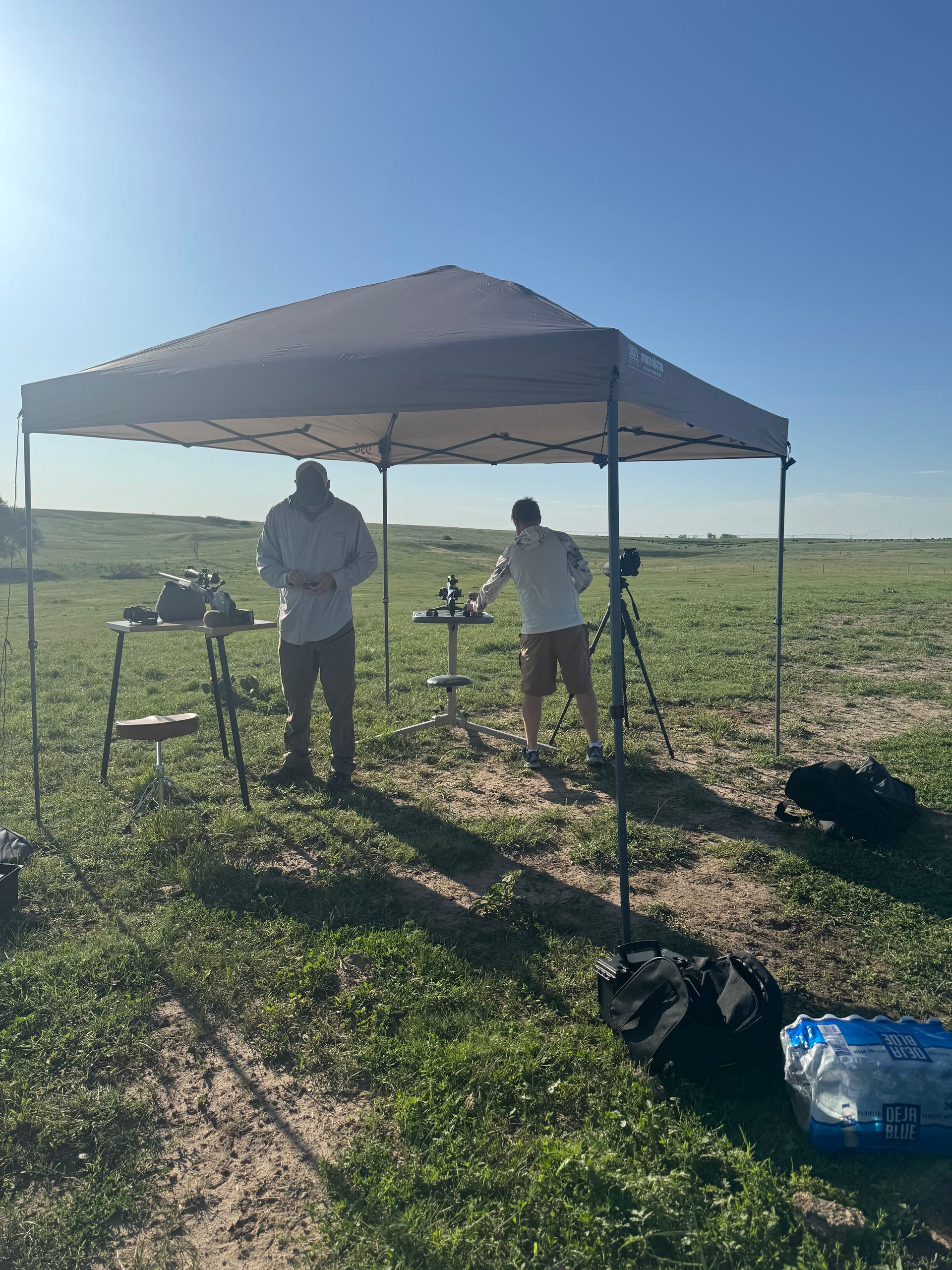 Nebraska prairie dogs