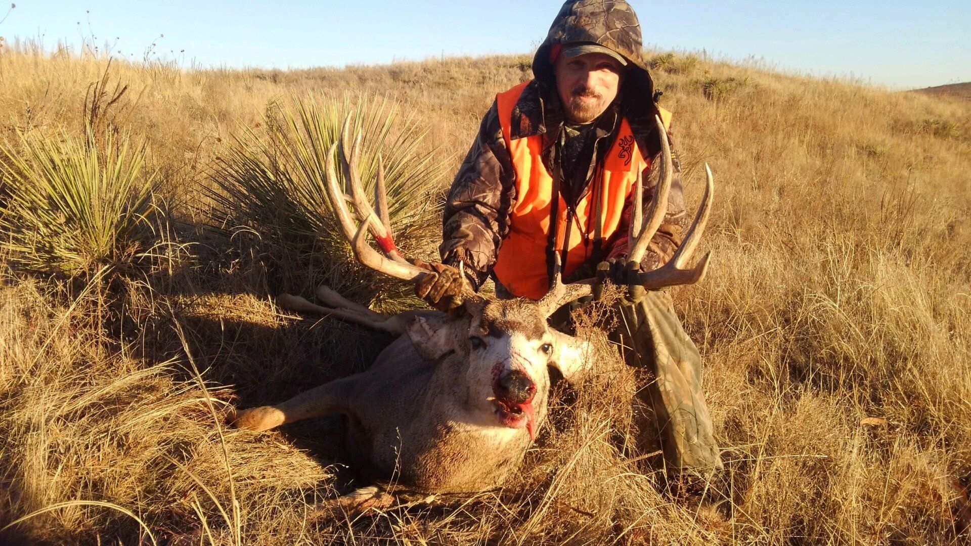 Deer Hunts Nebraska