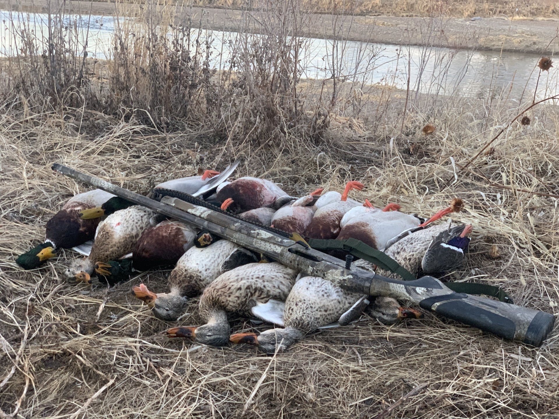 duck hunts in NE