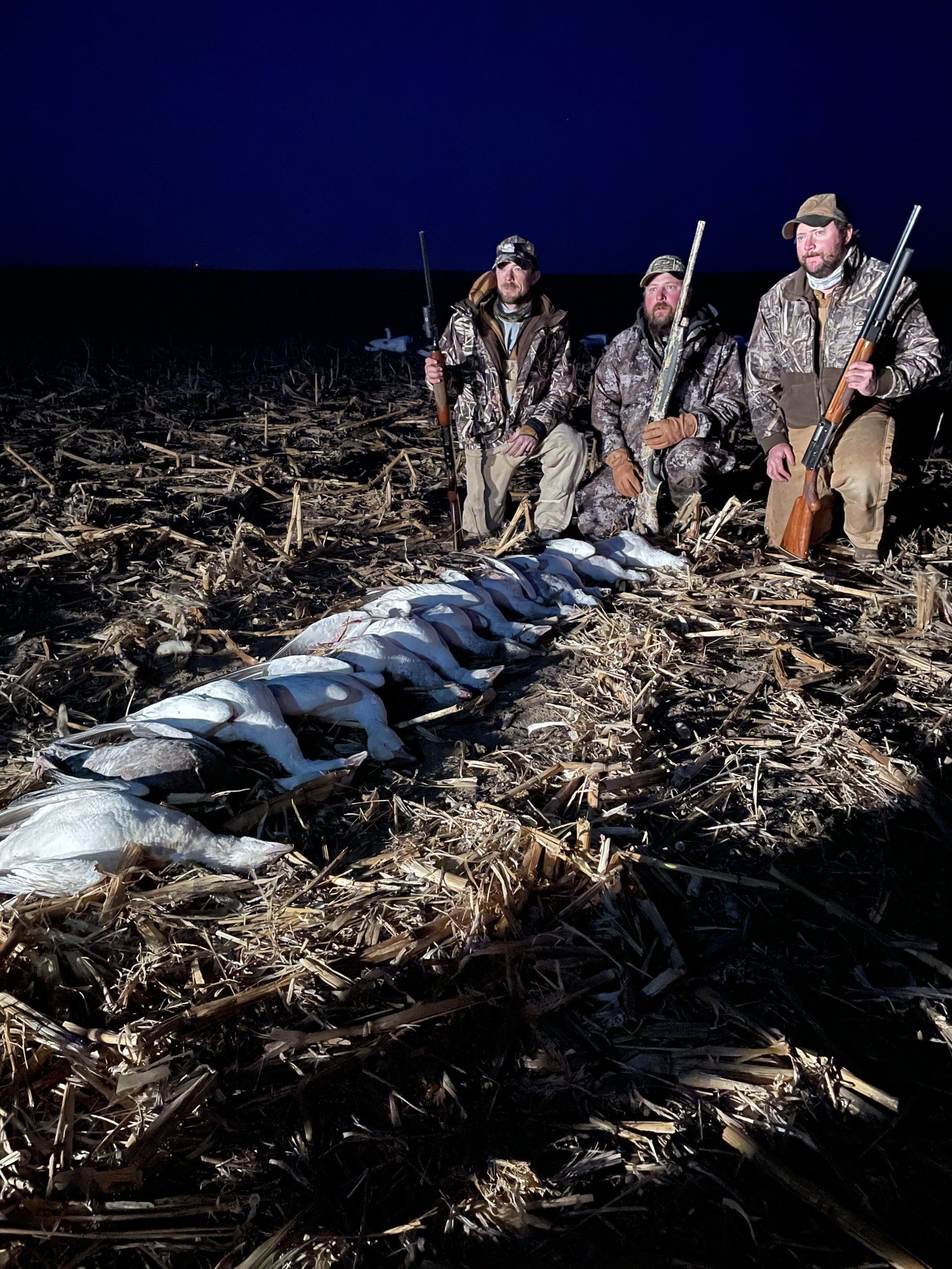 goose hunting in a field