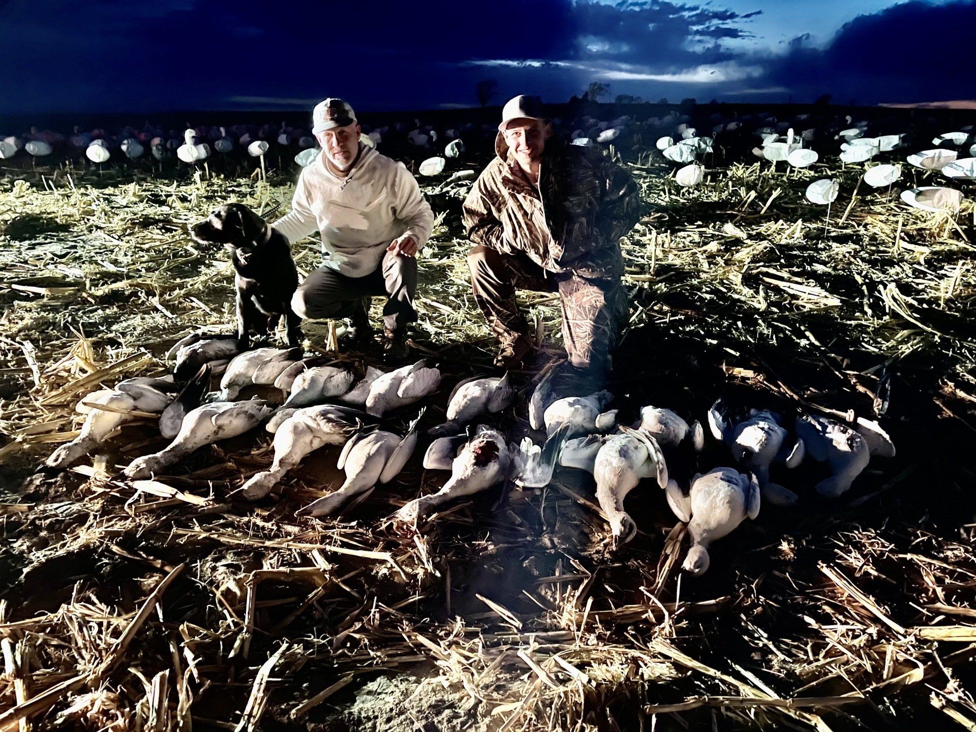 Two men and a dog are kneeling in a field with a bunch of ducks.