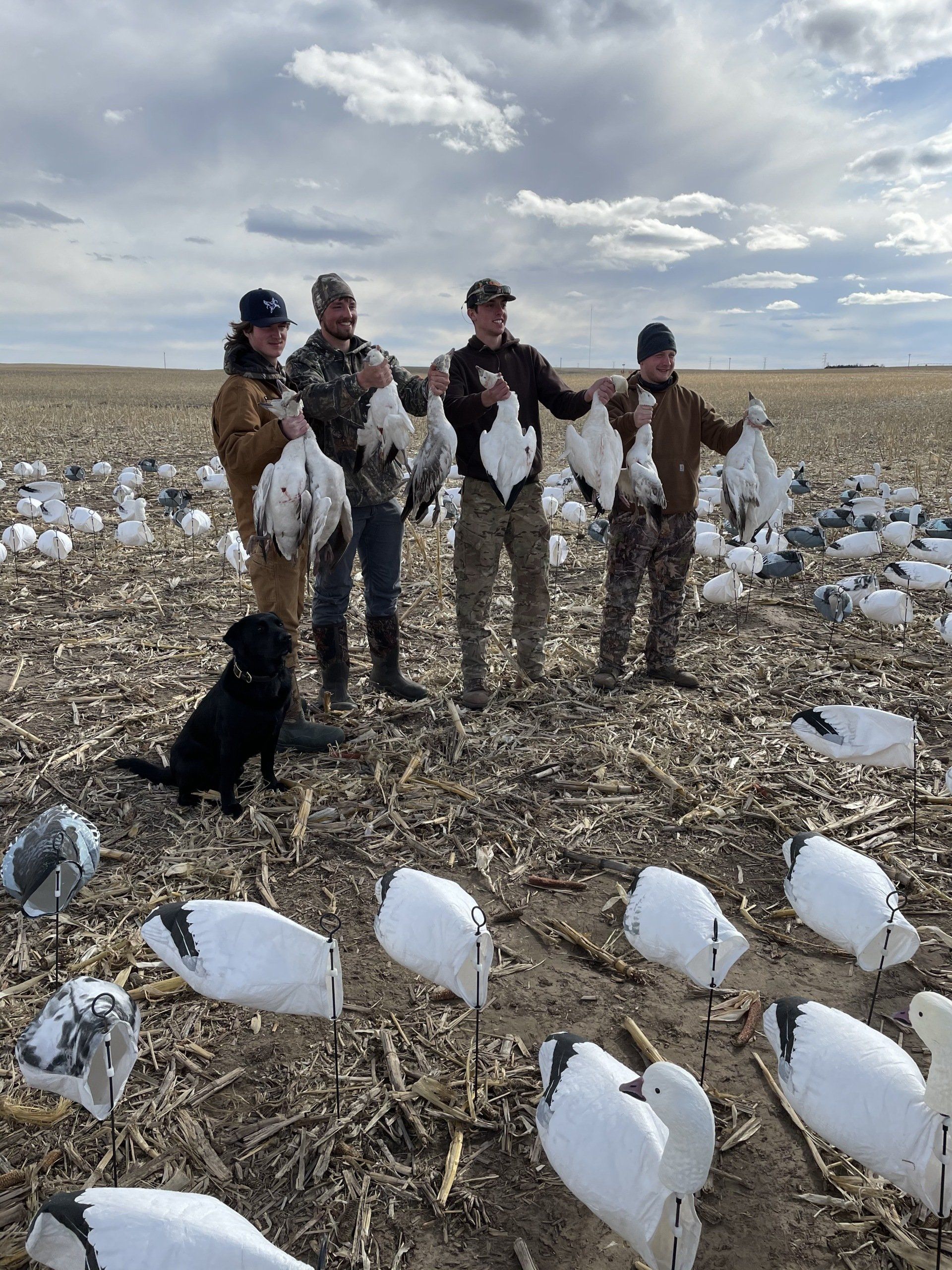 A group of men and a dog are standing in a field of birds.