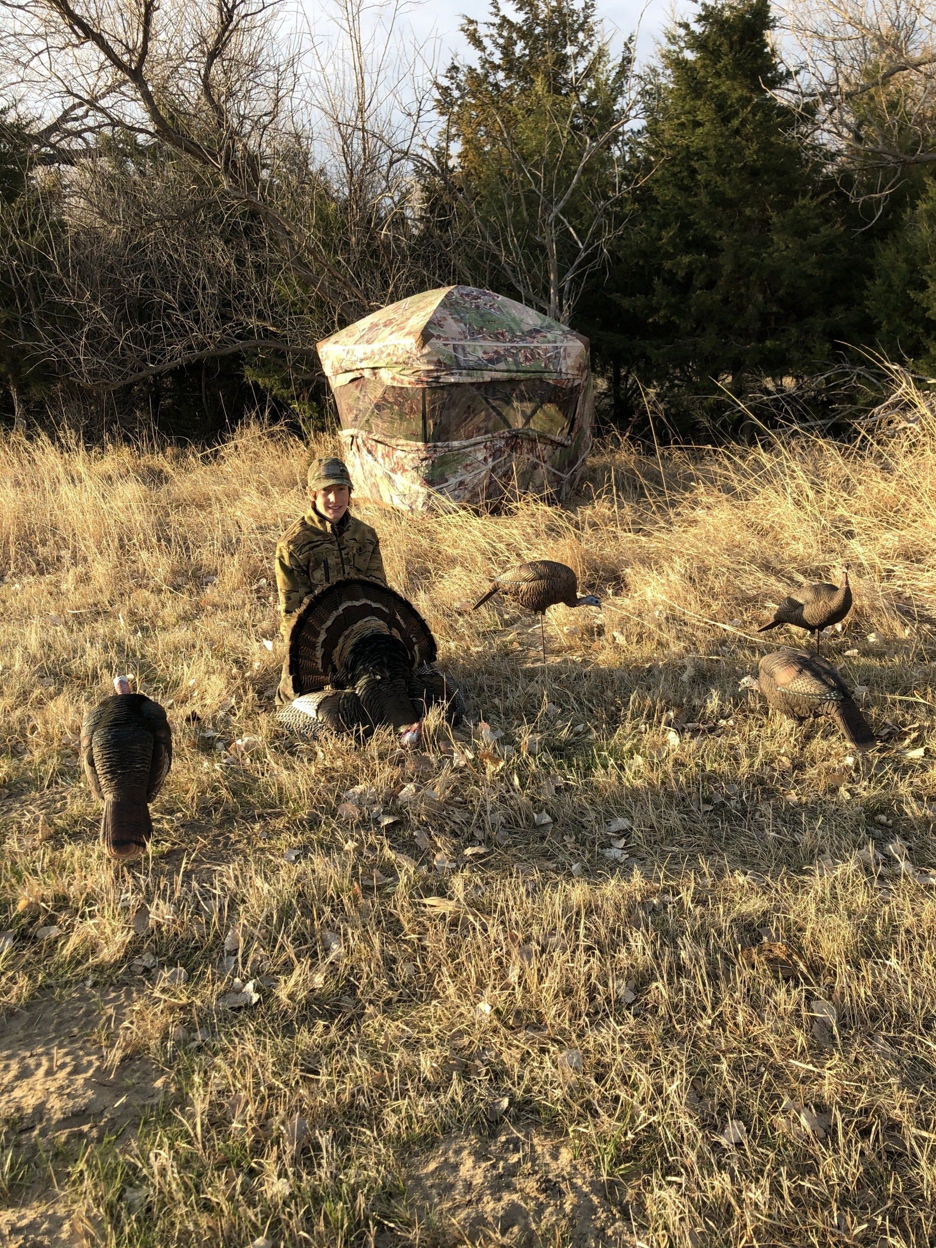 A man is sitting in a field with turkeys and a tent.