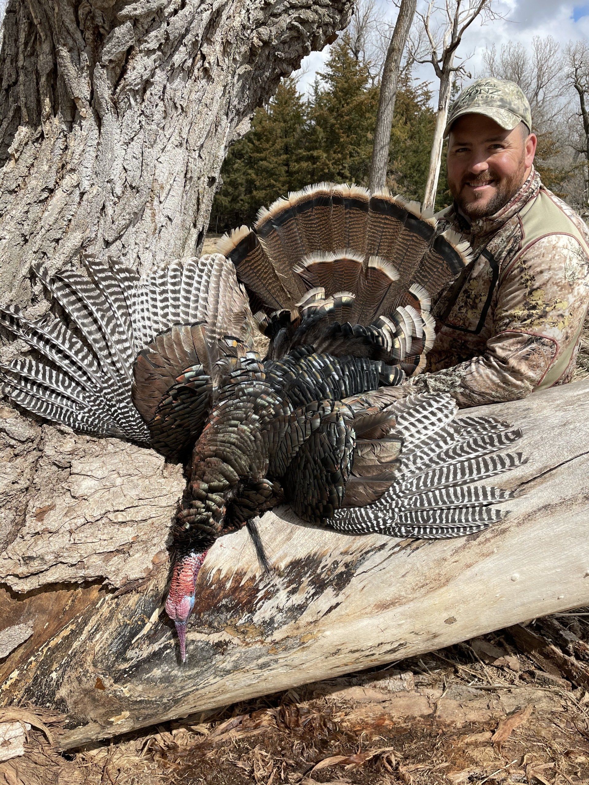 A man is sitting on a log next to a turkey.