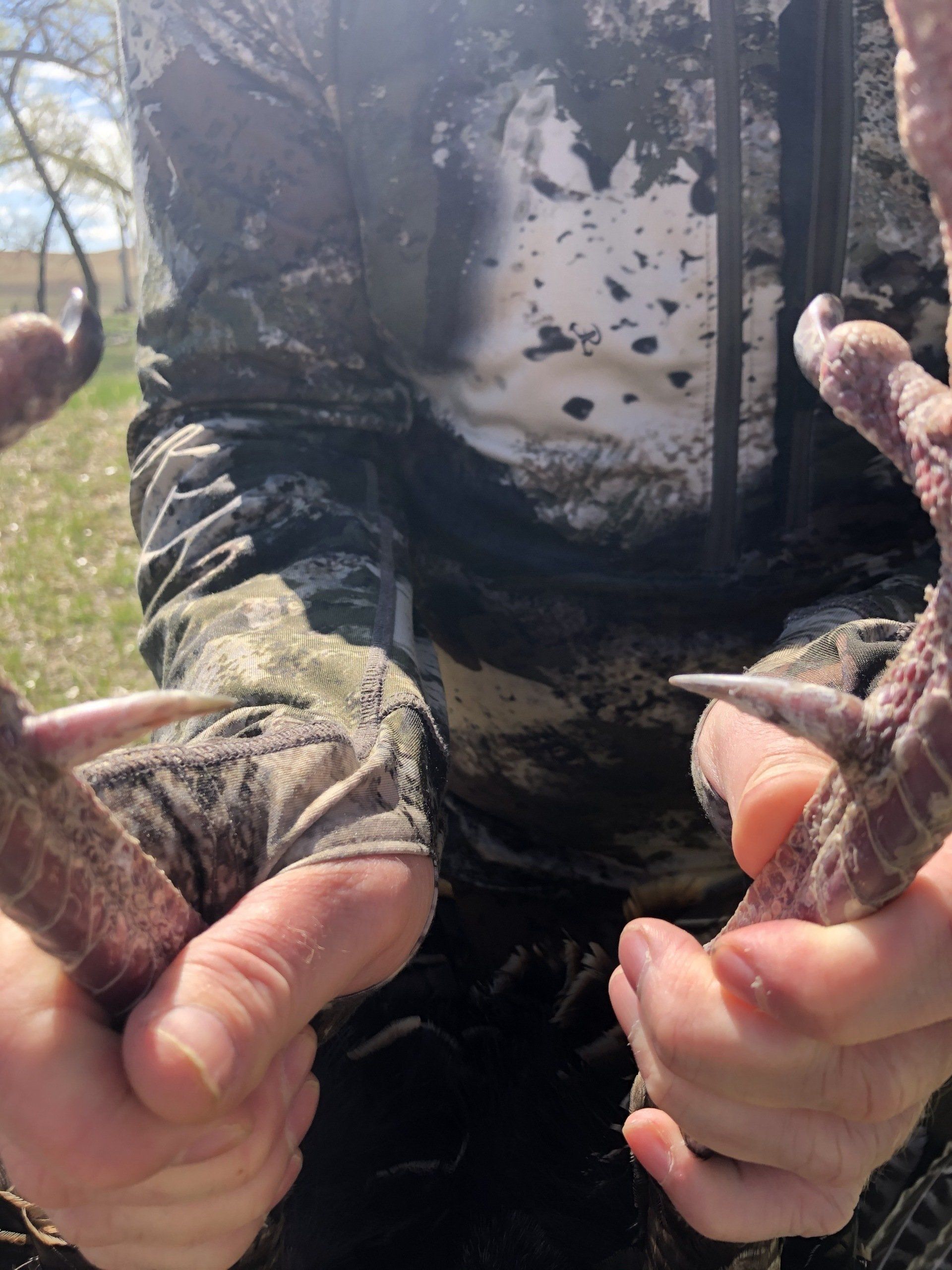 A person is holding two chicken feet in their hands.