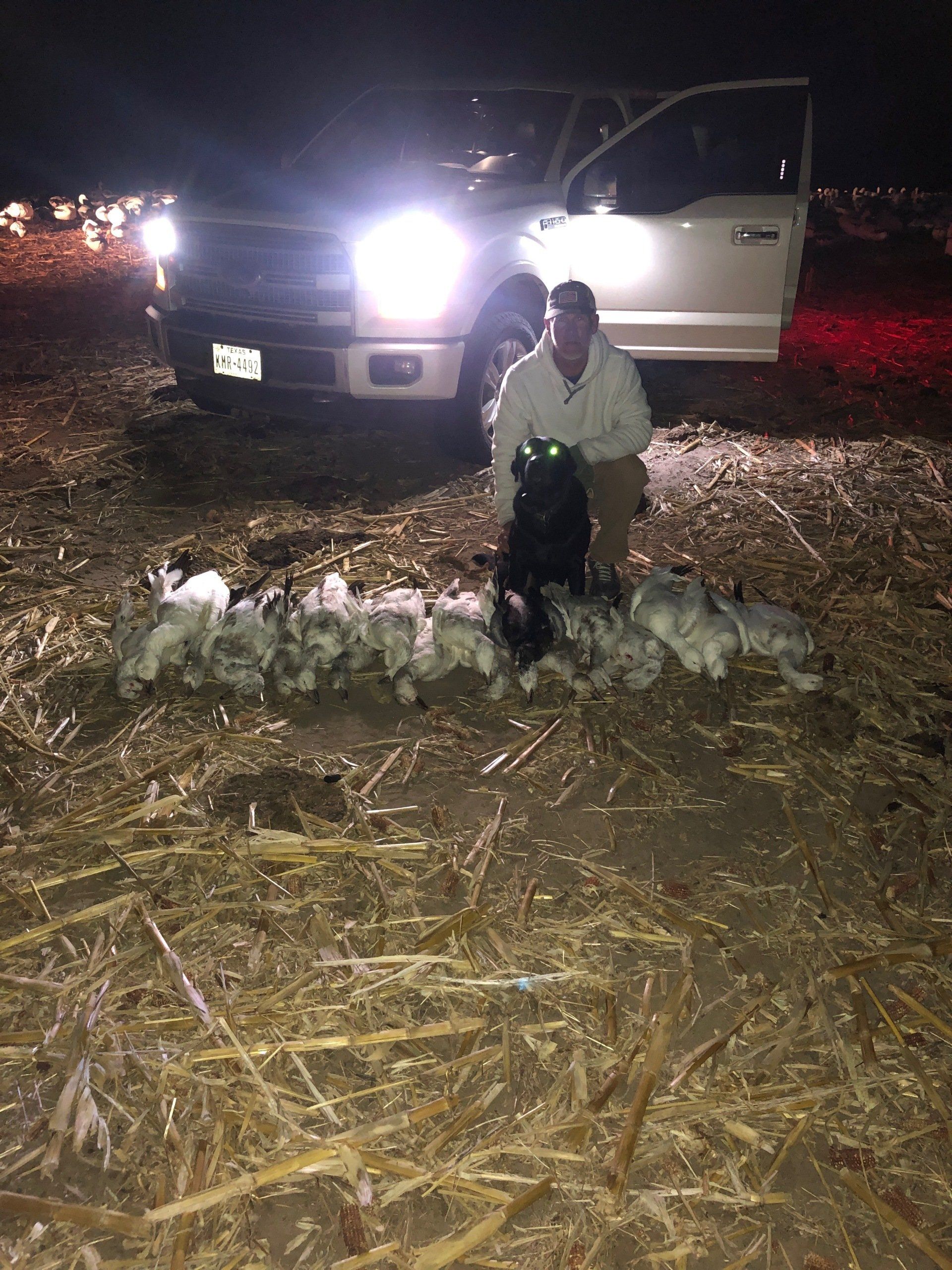 A man and a dog are standing next to a truck in a field at night.
