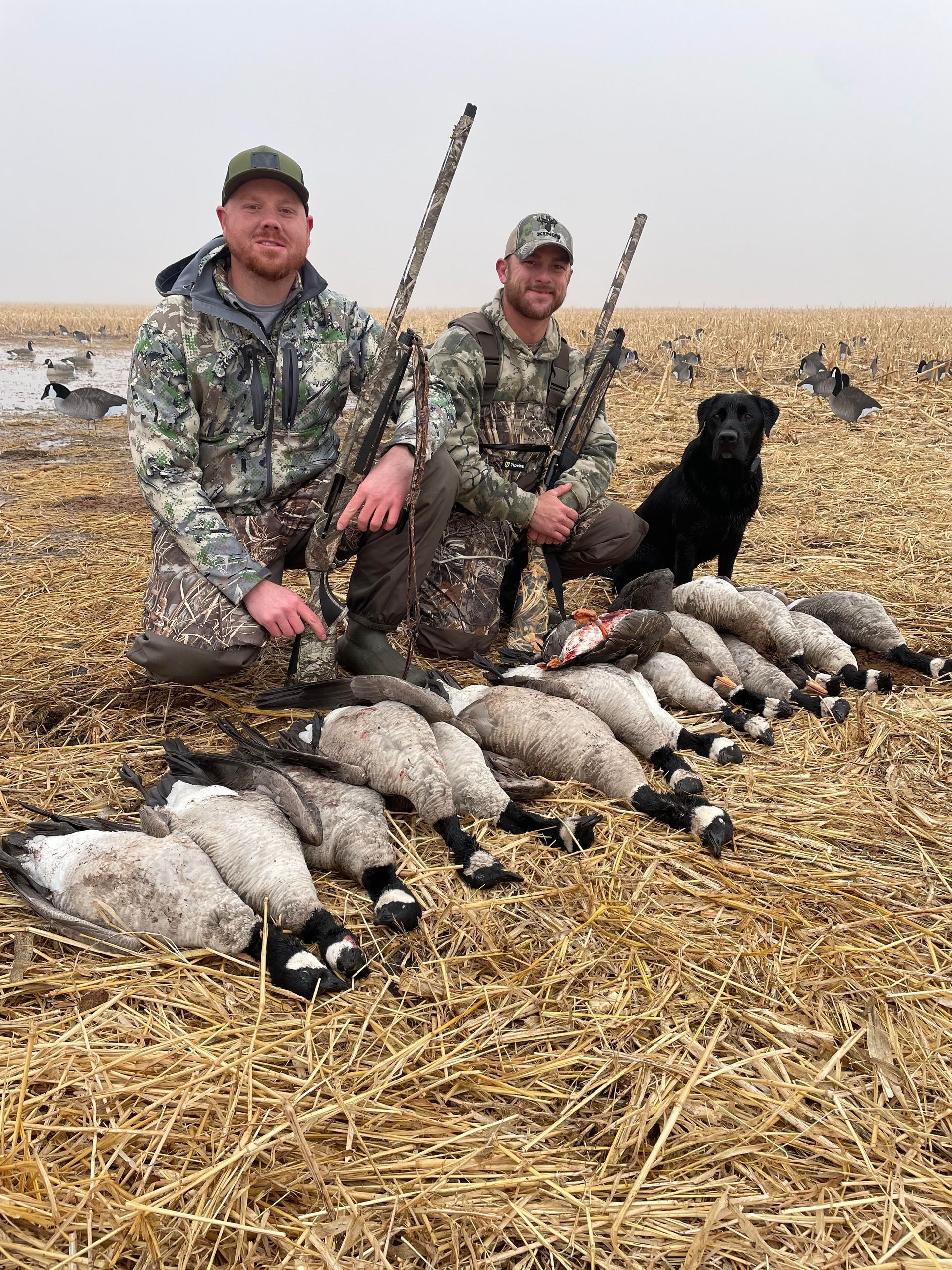 goose hunting guide NE