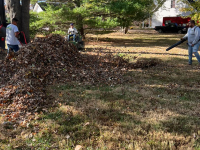 People raking and bagging leaves in a yard with a large leaf pile and trees.