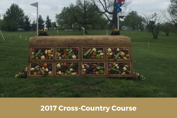 A picture of the 2017 cross country course