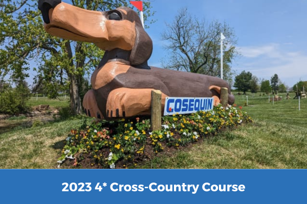 A statue of a dog with a sign that says cosequin