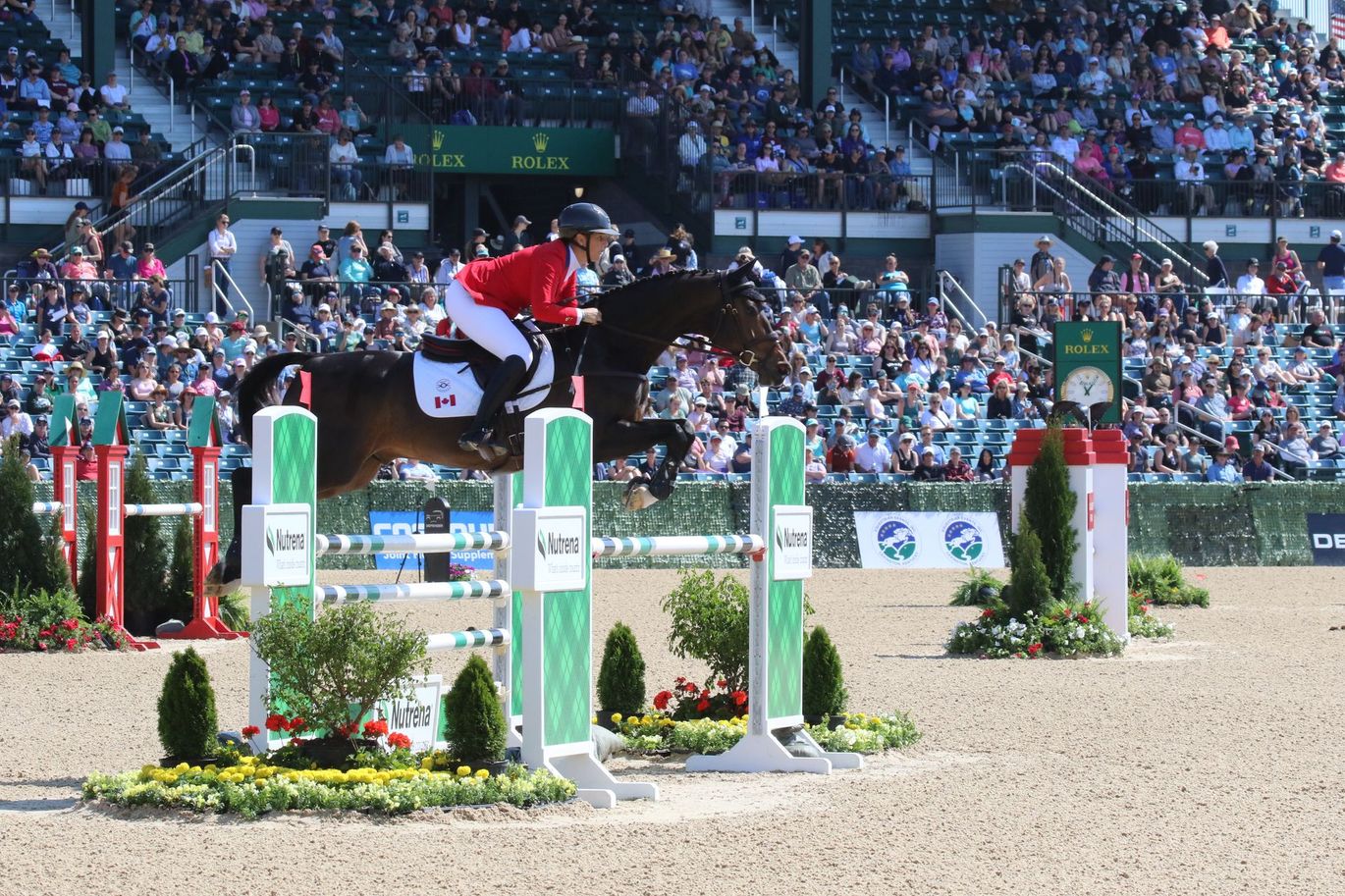 A person riding a horse jumping over a hurdle with a rolex sign in the background