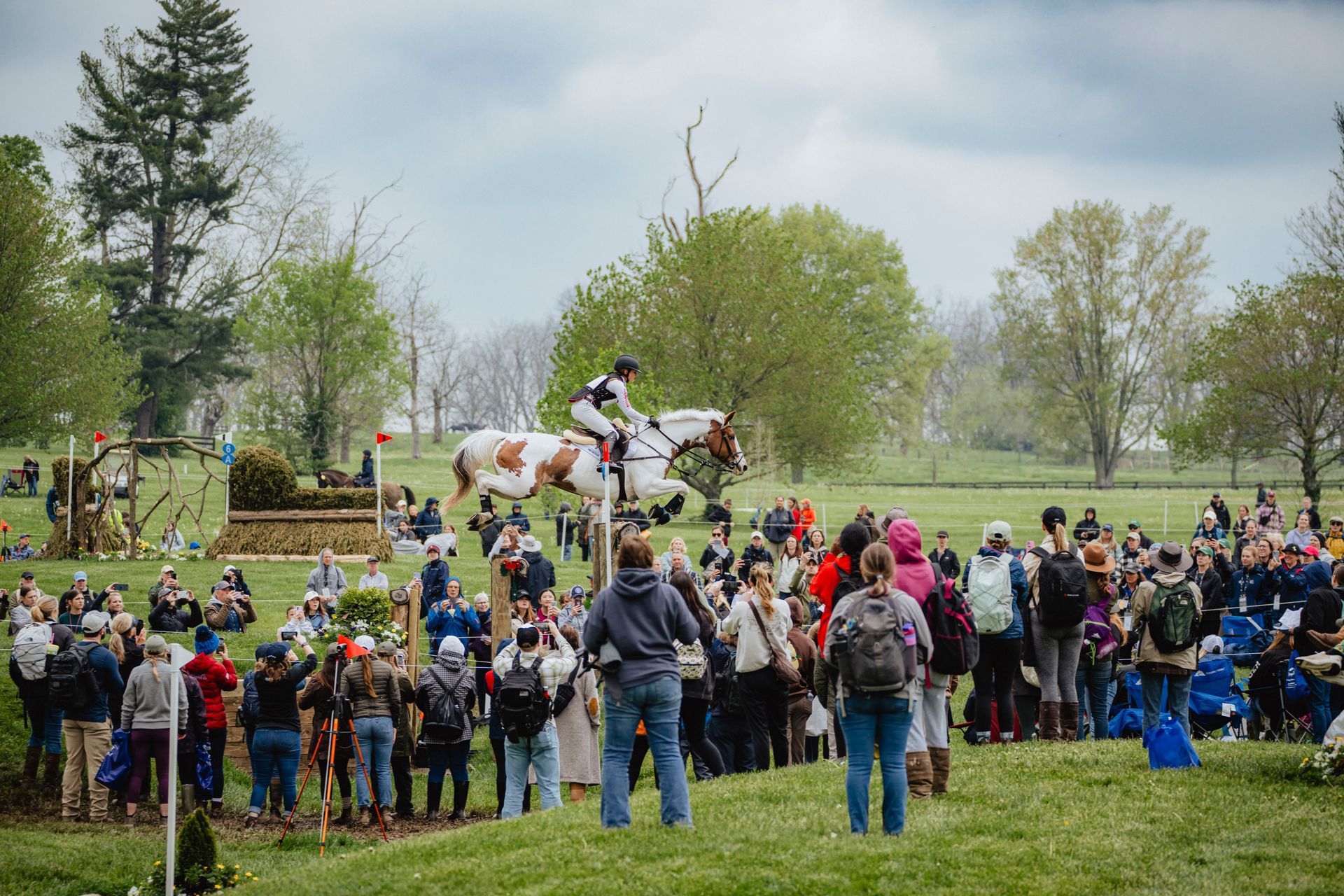 A horse and rider are jumping over a fence in the water.