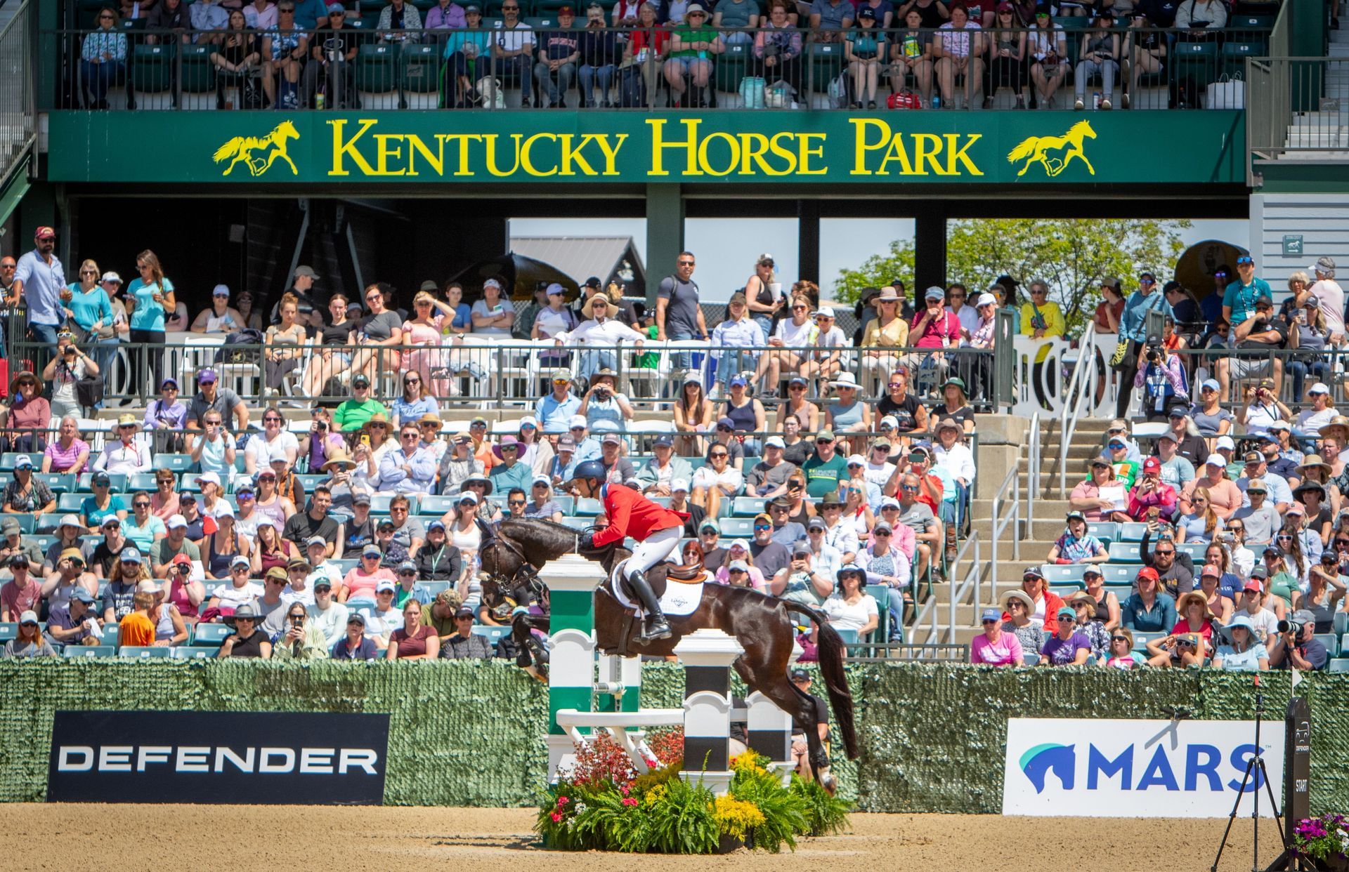 A woman is riding a black horse over a hurdle