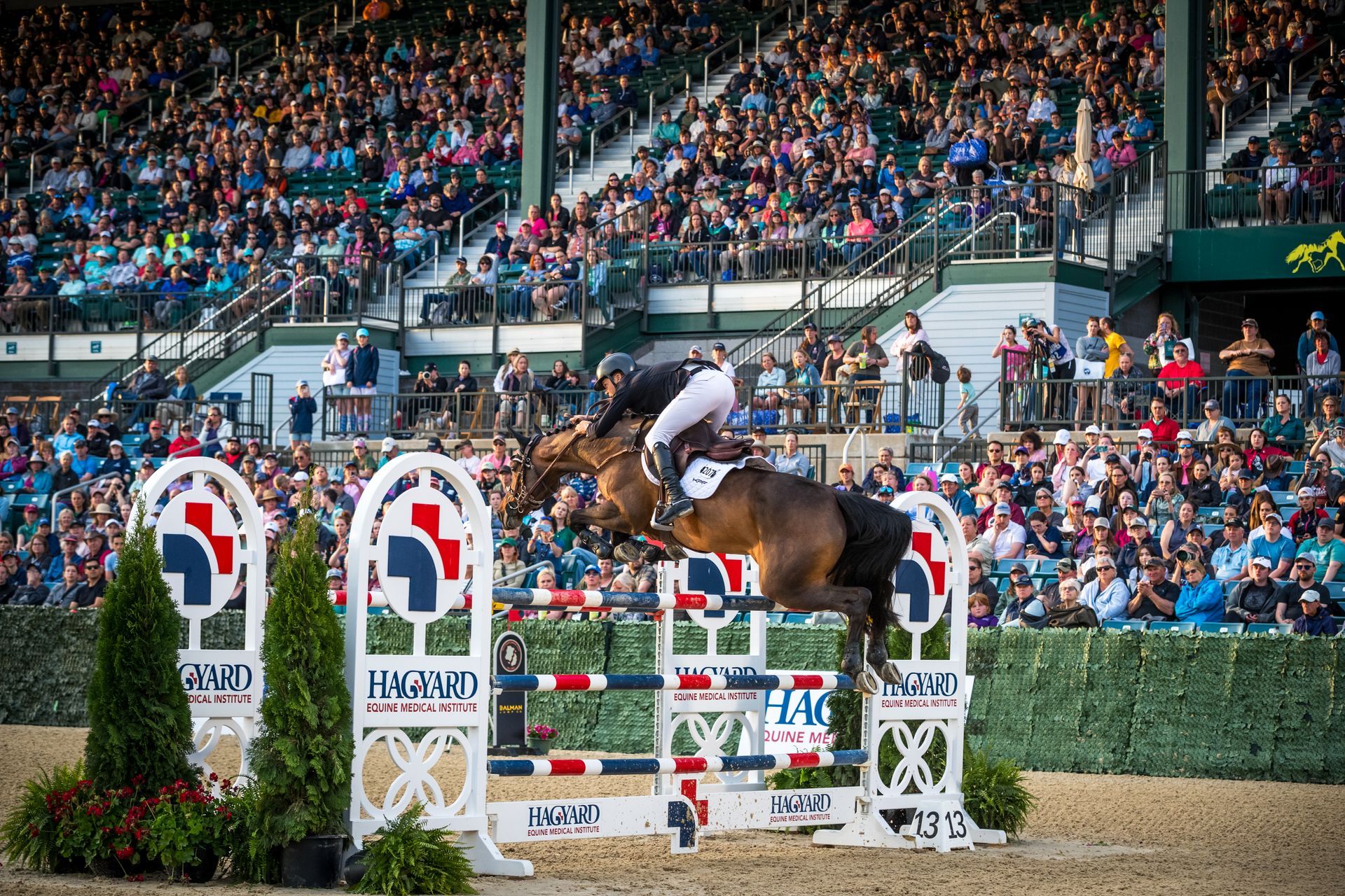 A person is riding a horse over a hurdle in front of a crowd.