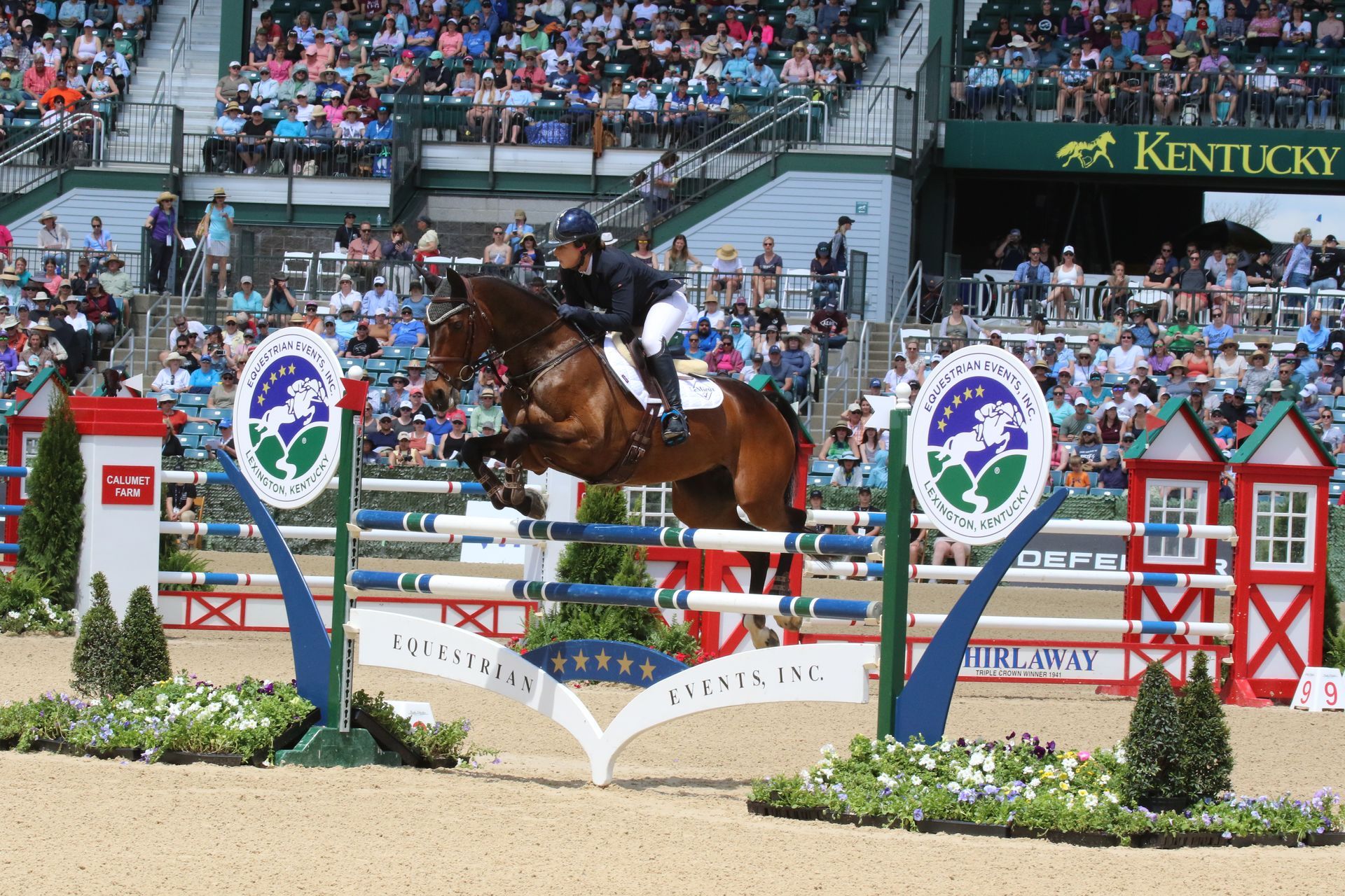 A person is riding a horse over a jump in front of a crowd.