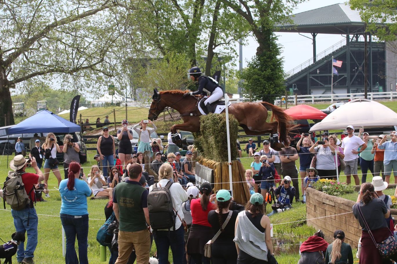 A man is riding a horse over a hurdle while a crowd watches.