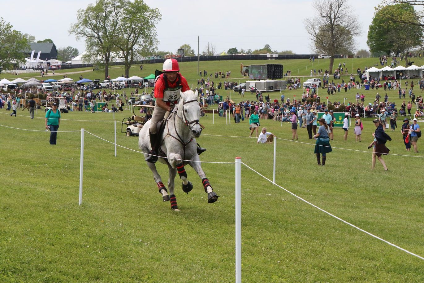 A person riding a horse in a field with a crowd in the background