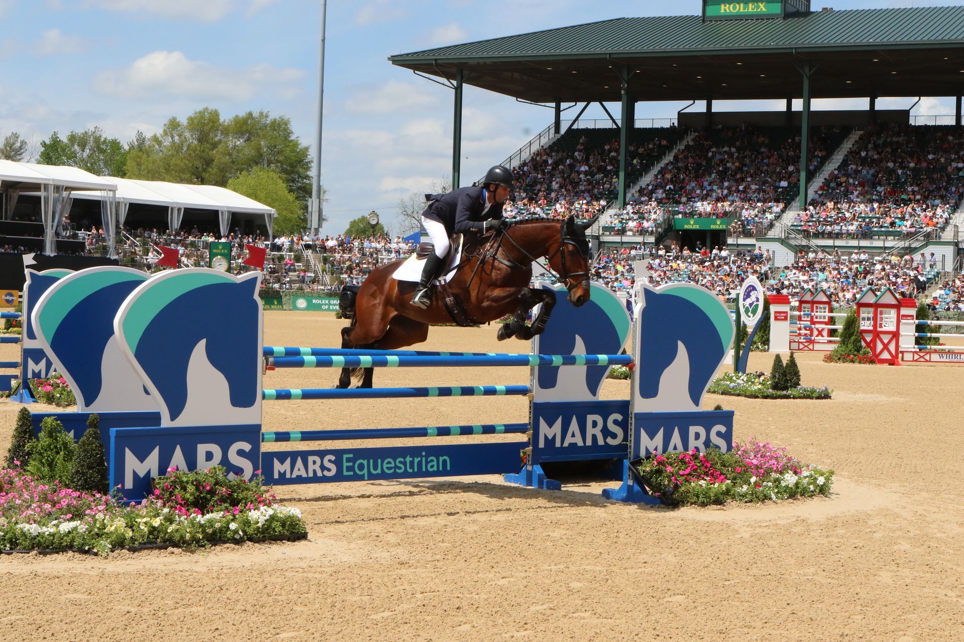 A horse is jumping over a sign that says mars equestrian