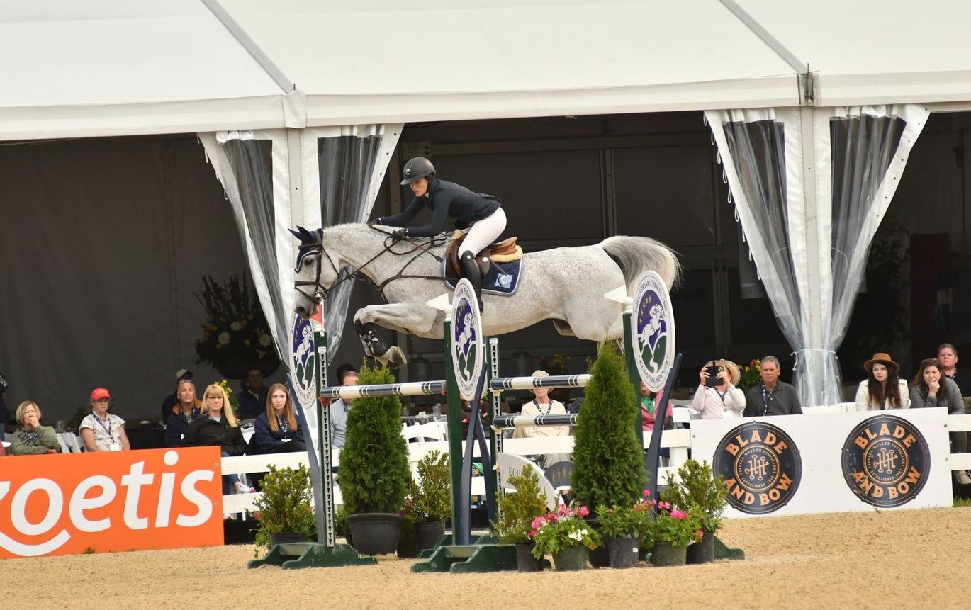 A person is riding a horse over a jump in front of a sign that says getis.