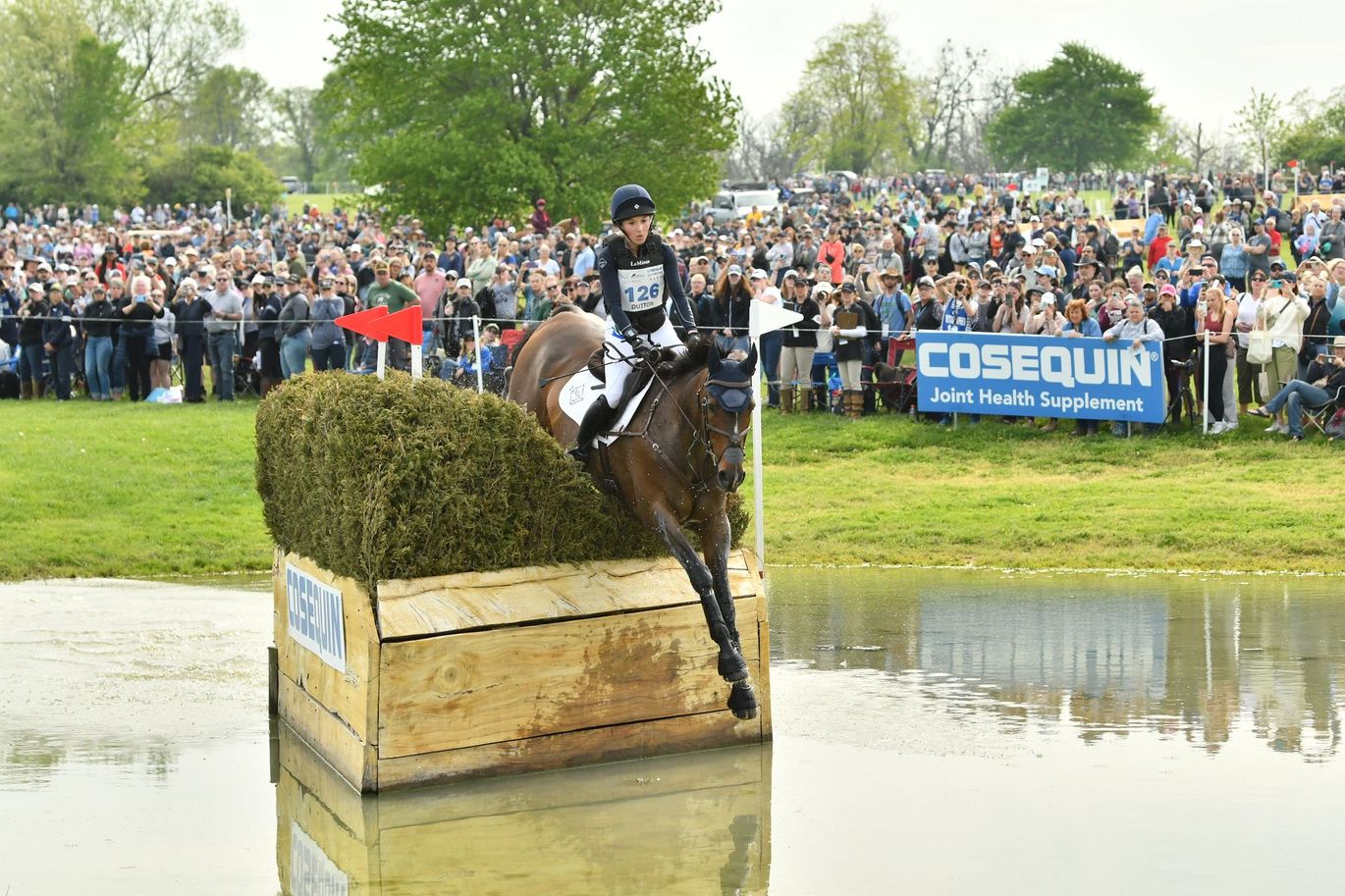 A person is riding a horse over a wooden box in the water.