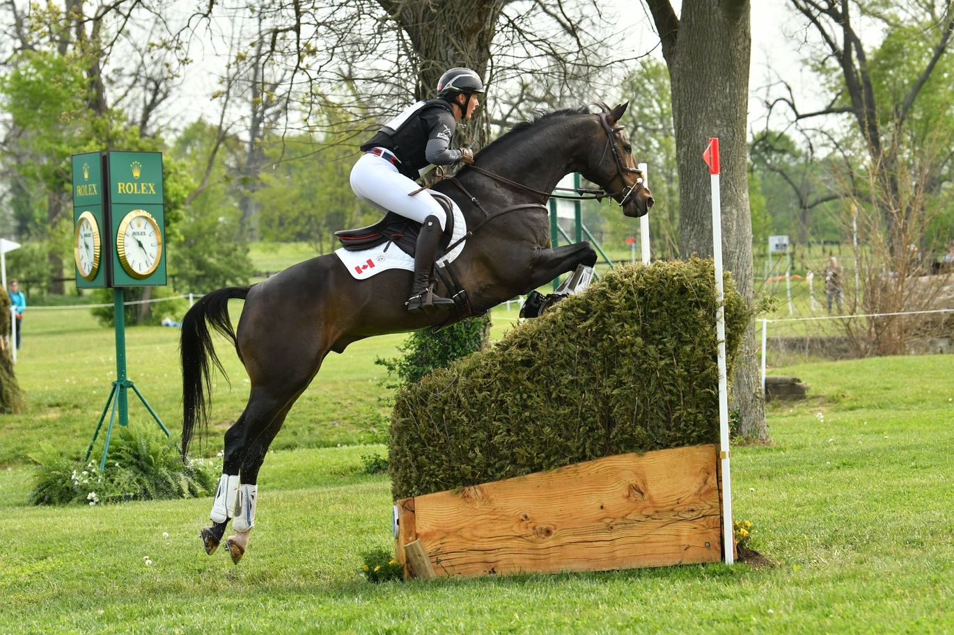 A person is riding a horse over a wooden fence.