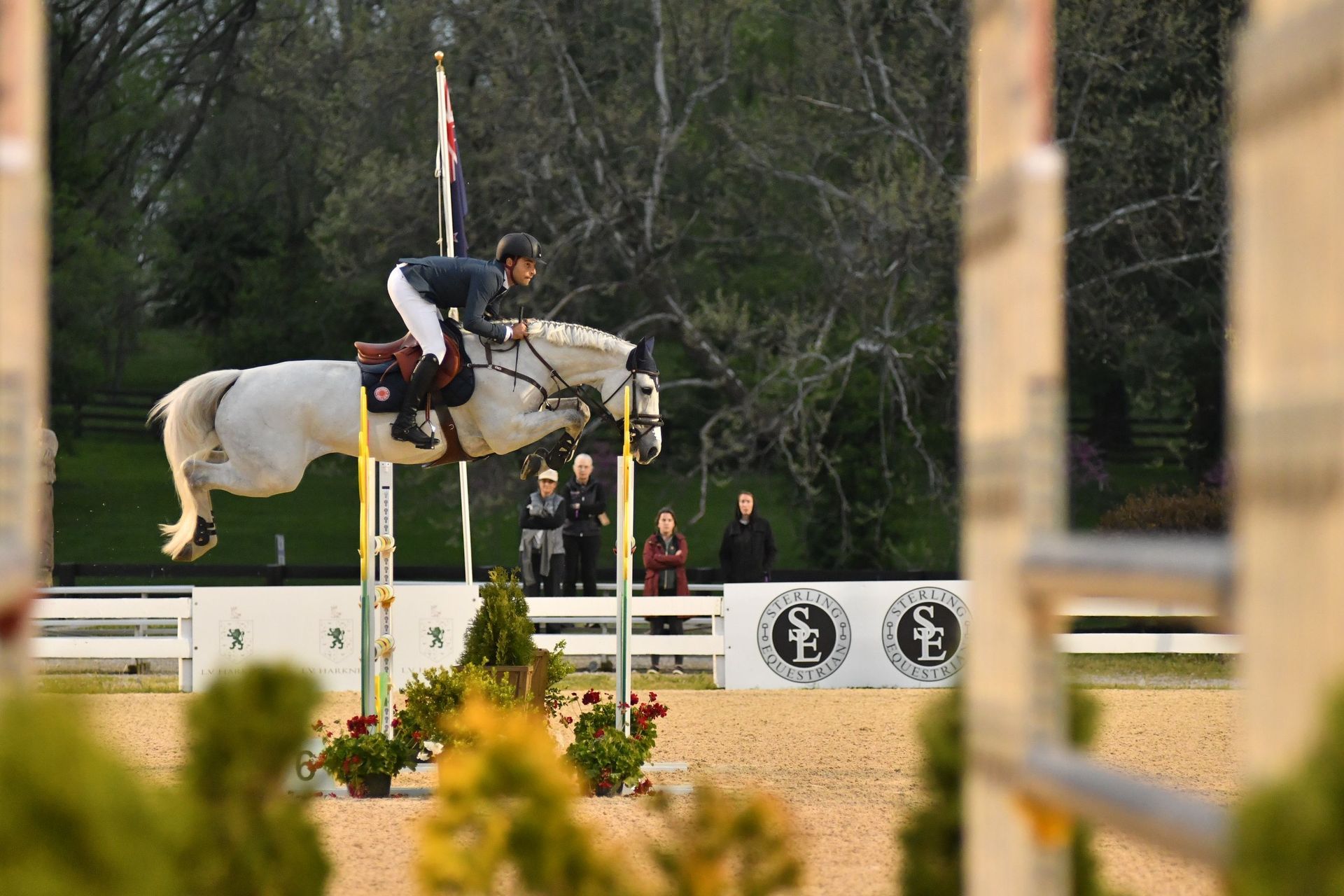 A man is riding a white horse and jumping over a hurdle.