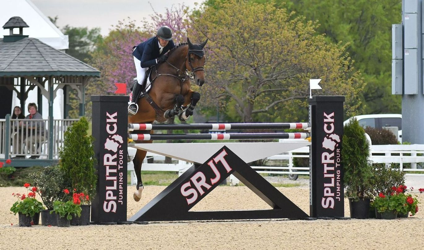 A horse is jumping over a srjt sign