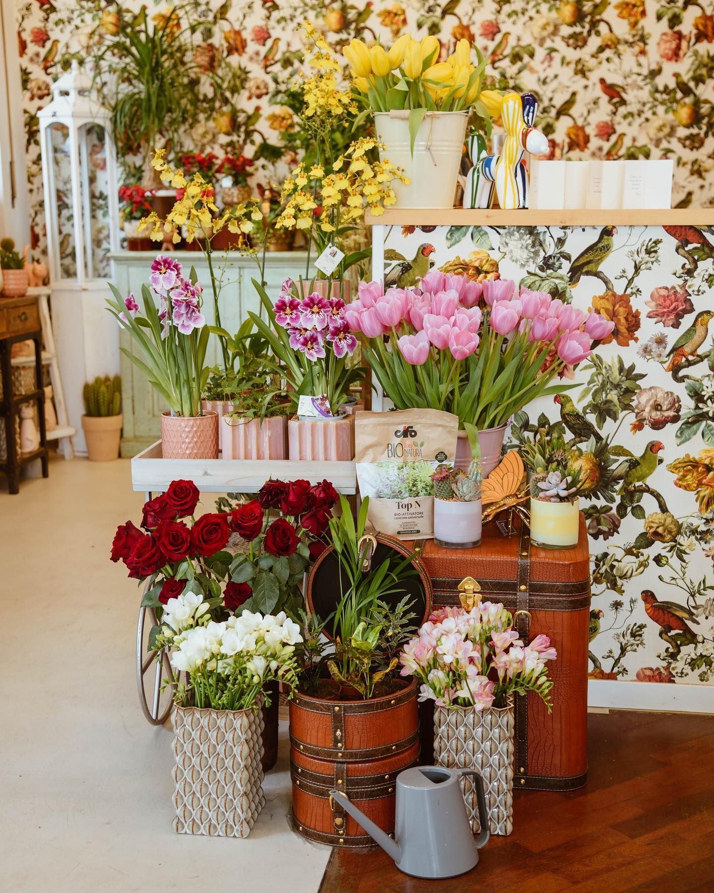 Esposizione di fiori in un negozio di fiori con fiori colorati, tra cui rose e tulipani, davanti a una carta da parati floreale.