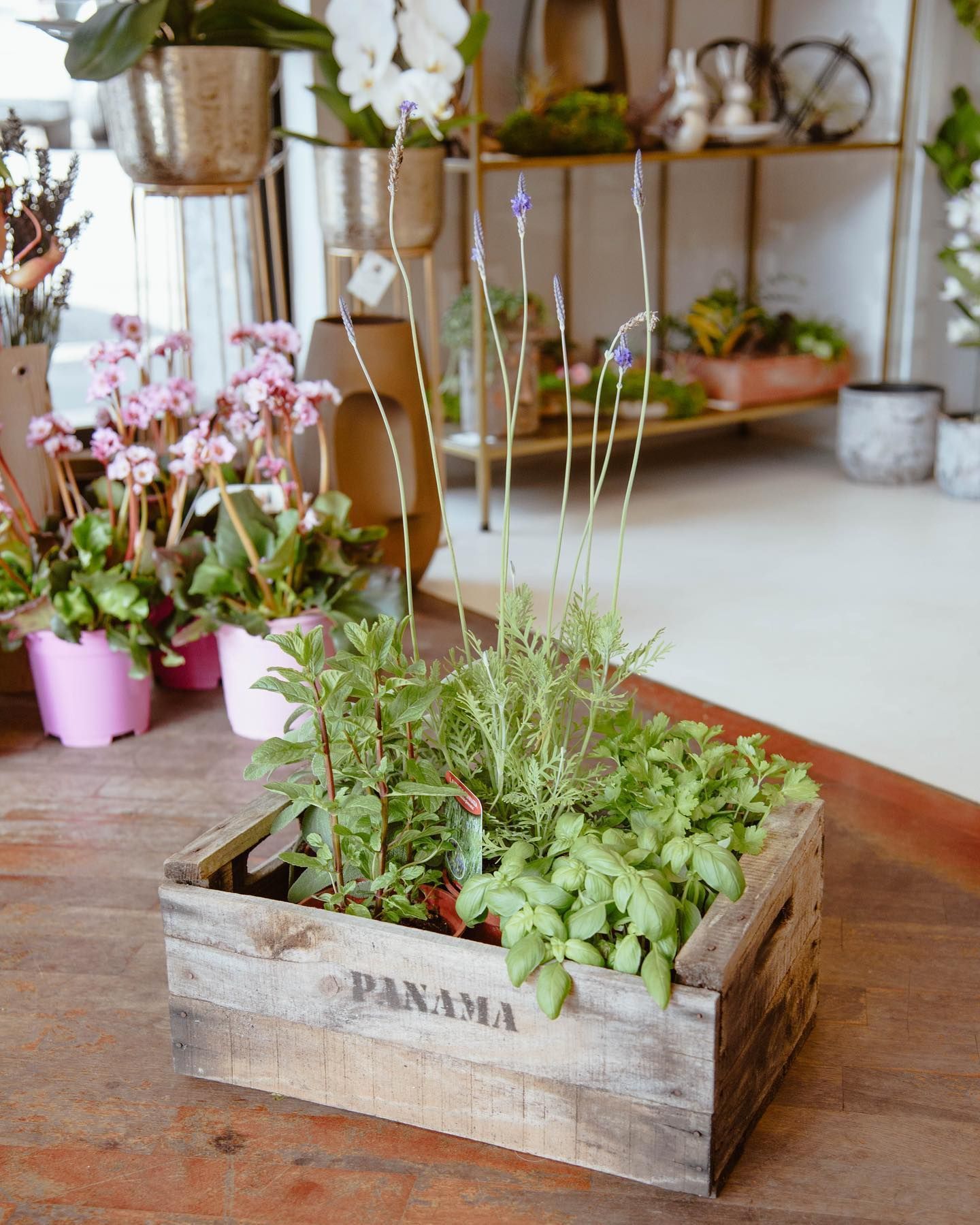 Fioriera in legno con piante verdi, tra cui lavanda, su una superficie in legno.