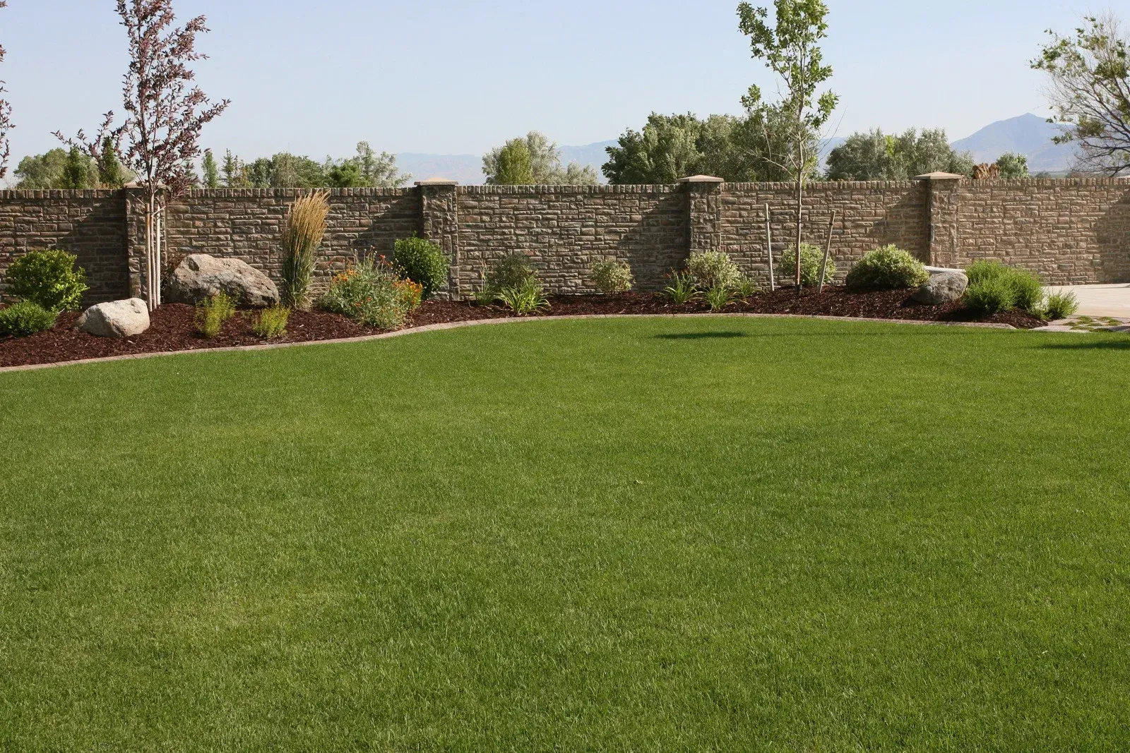 A lush green lawn with a stone wall in the background