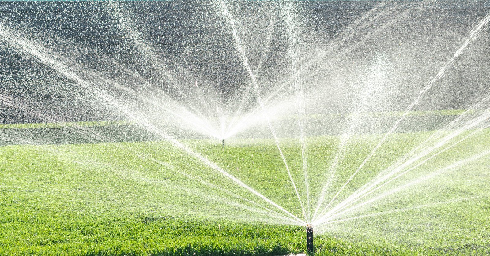 Sprinklers spraying water over a green lawn in a sunny outdoor setting.