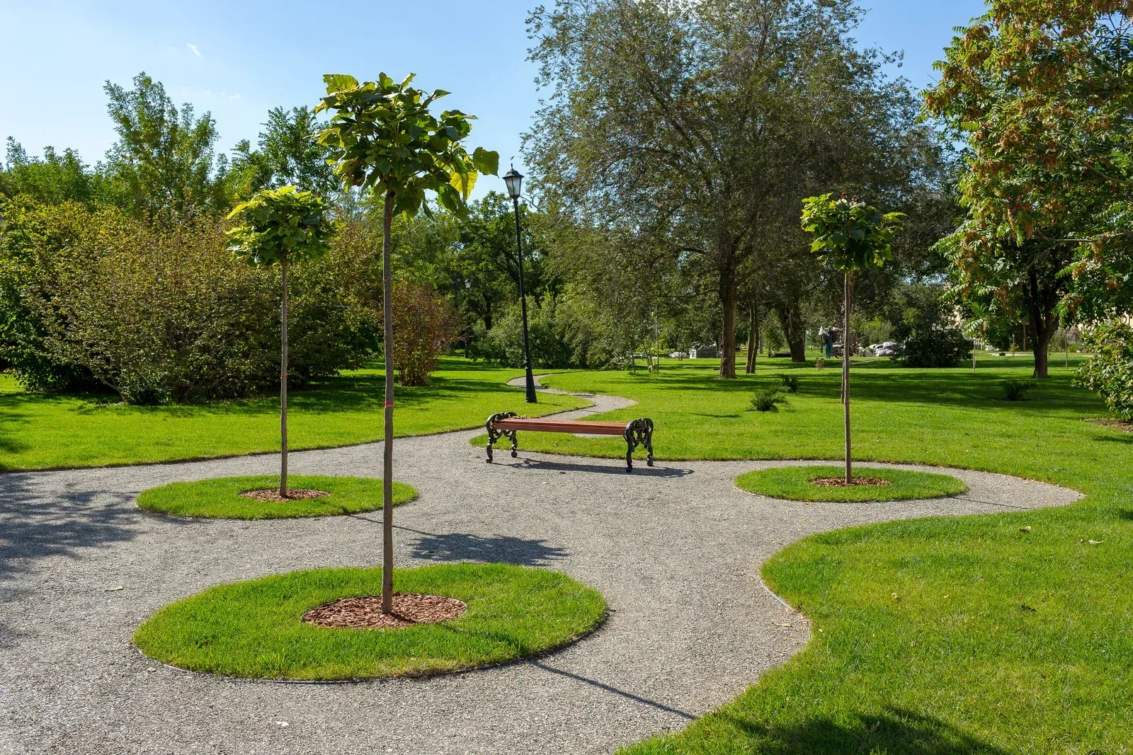 There is a bench in the middle of the park surrounded by trees.