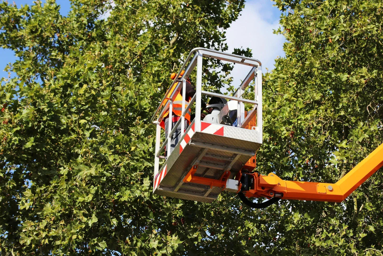 A man is sitting in a bucket on a crane cutting a tree.
