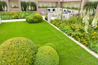 A lush green lawn with flowers and bushes in a garden.