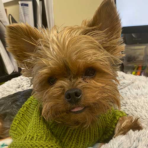 Max Company Mascot — Hamilton, OH — All Points Title & Closing