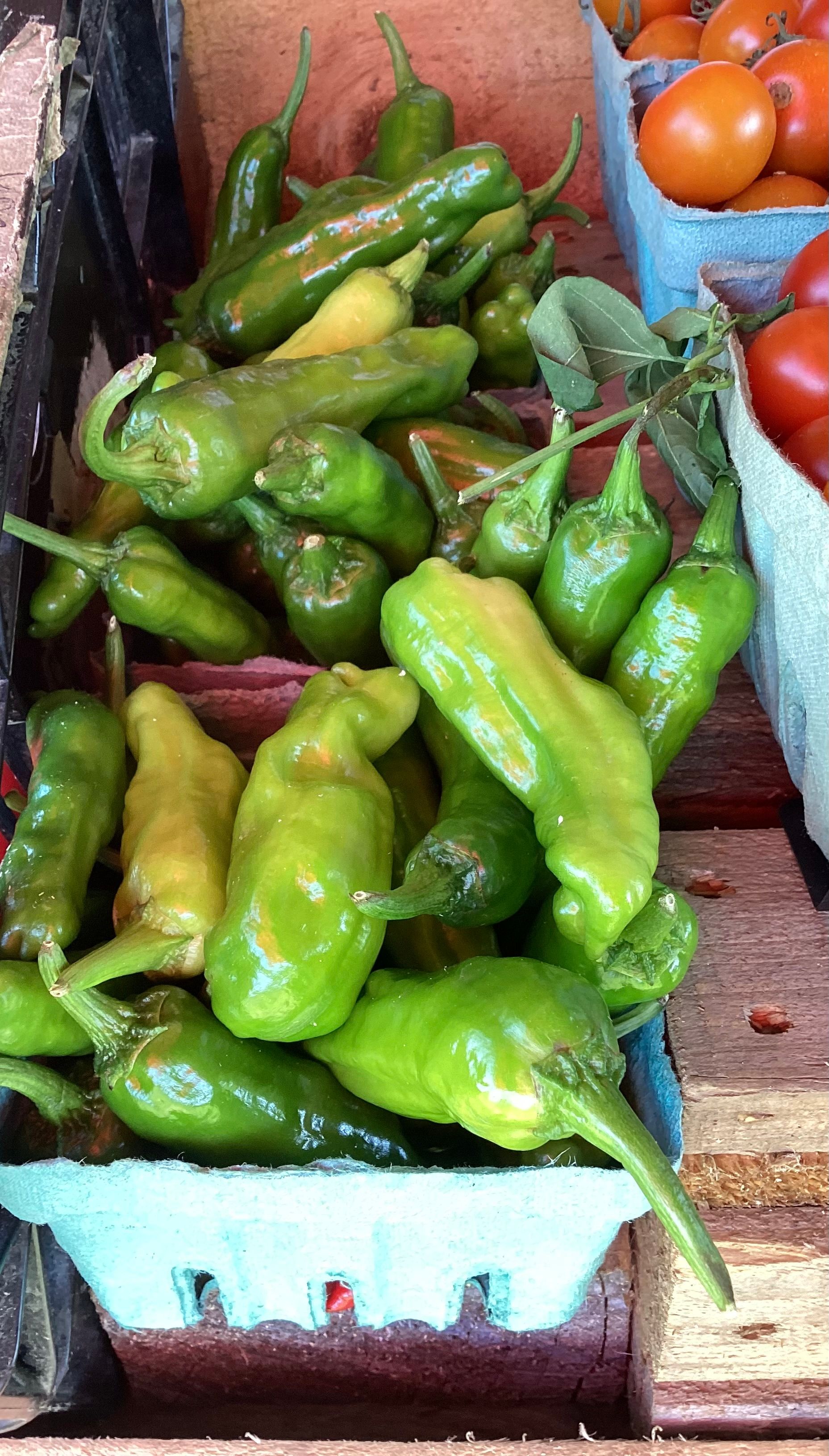 Cartons of green shishito peppers