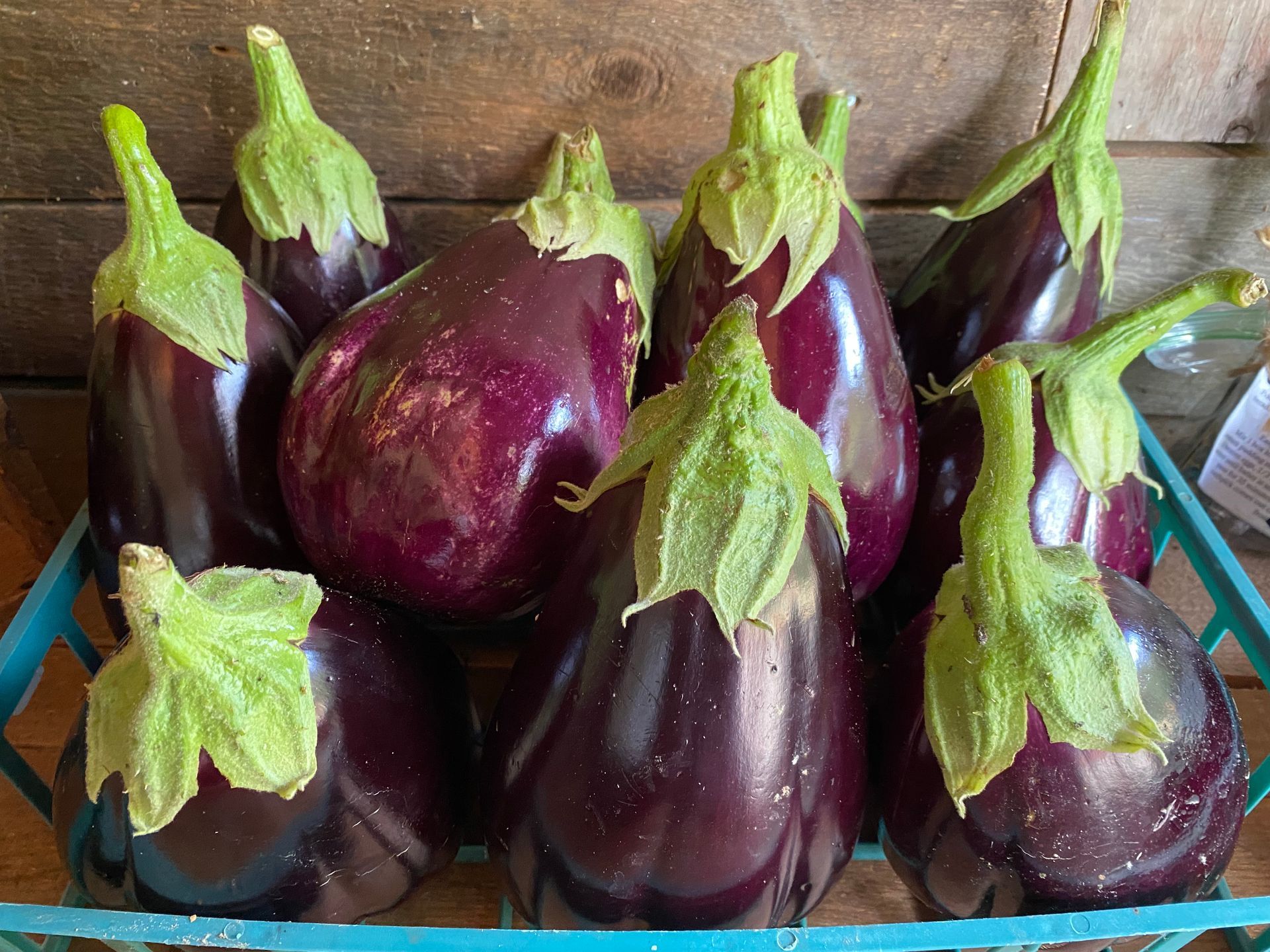 A bunch of eggplant