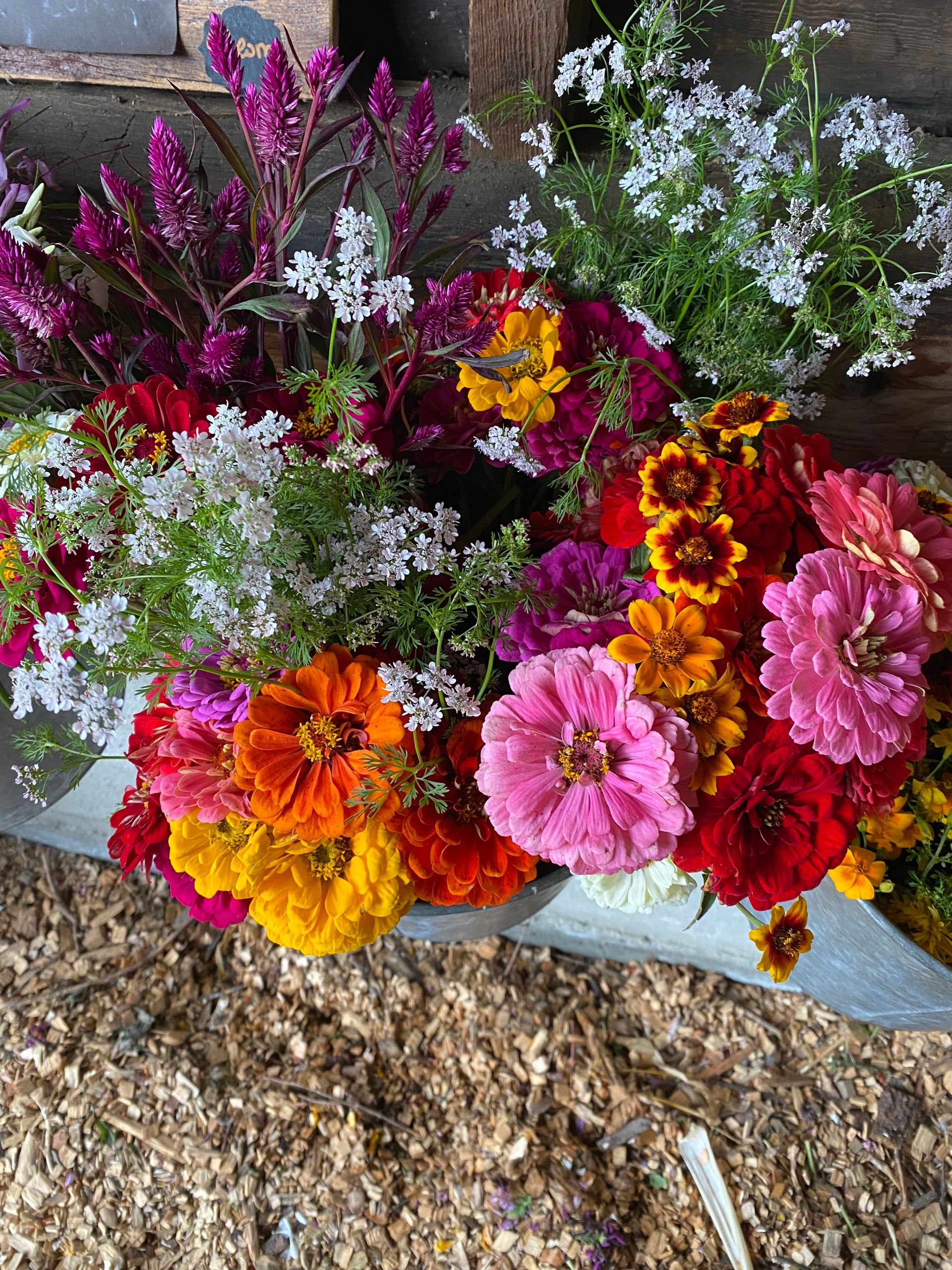 Bouquets of colorful wildflowers