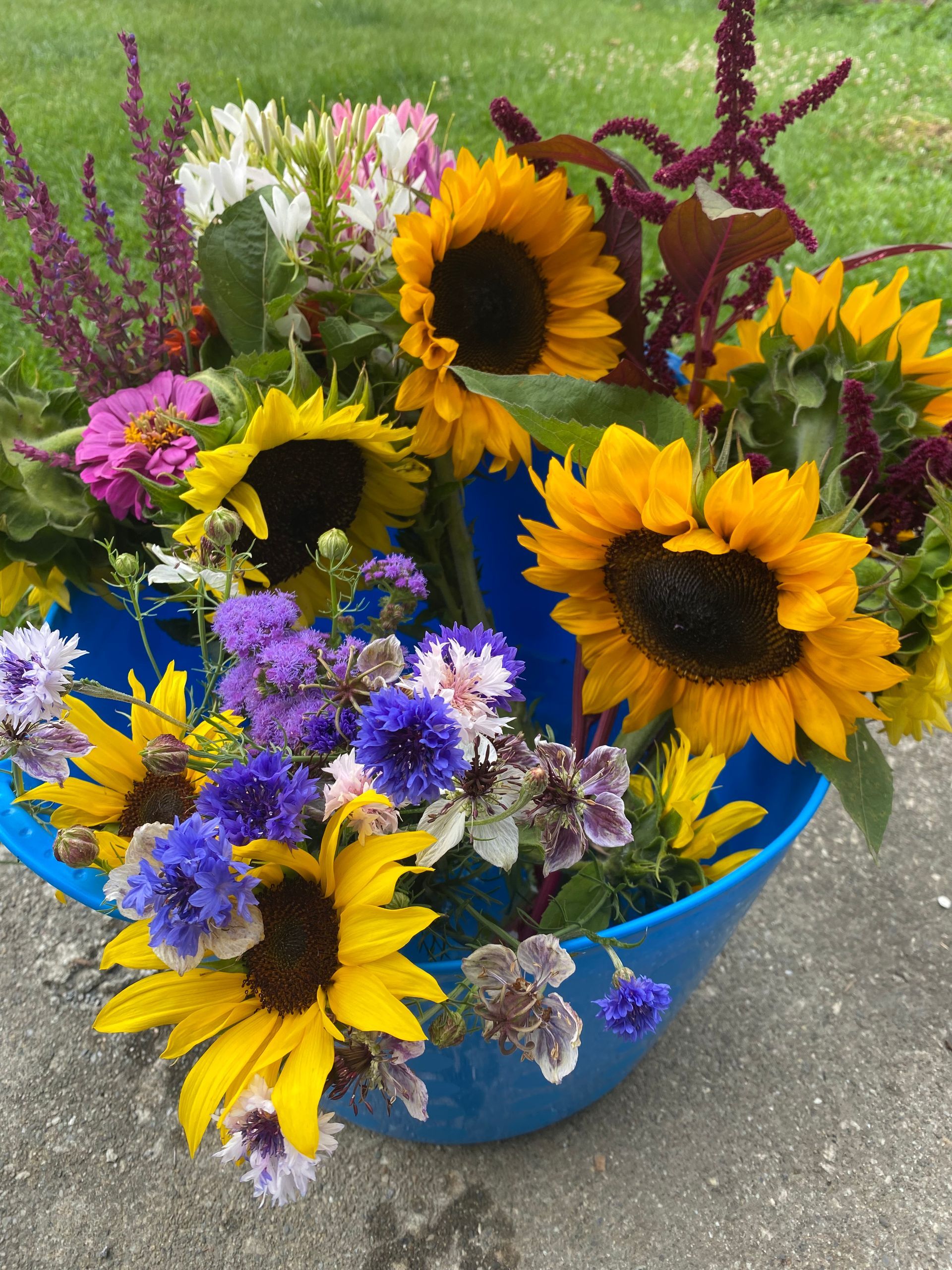 Bouquet of various wildflowers at Hoolie Flats Farm in East Calais, Vermont