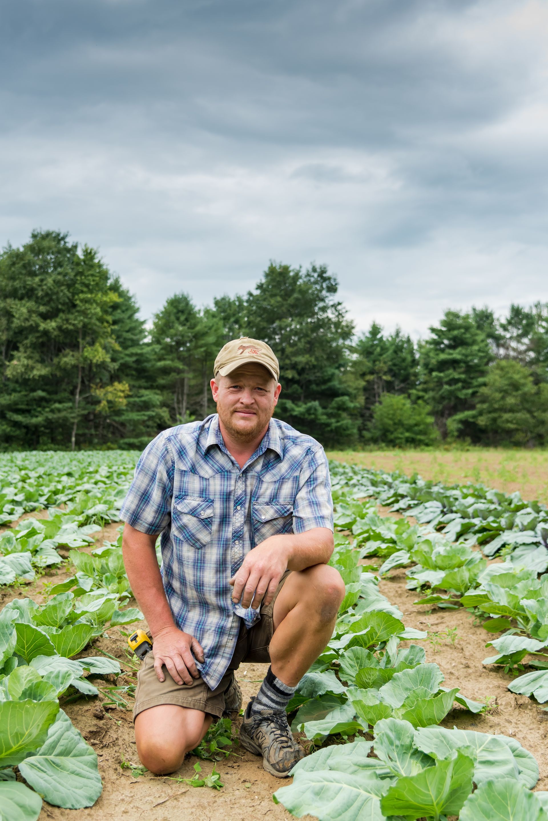 A man in a plaid button down shirt and baseball cap crouching in a field of greens.