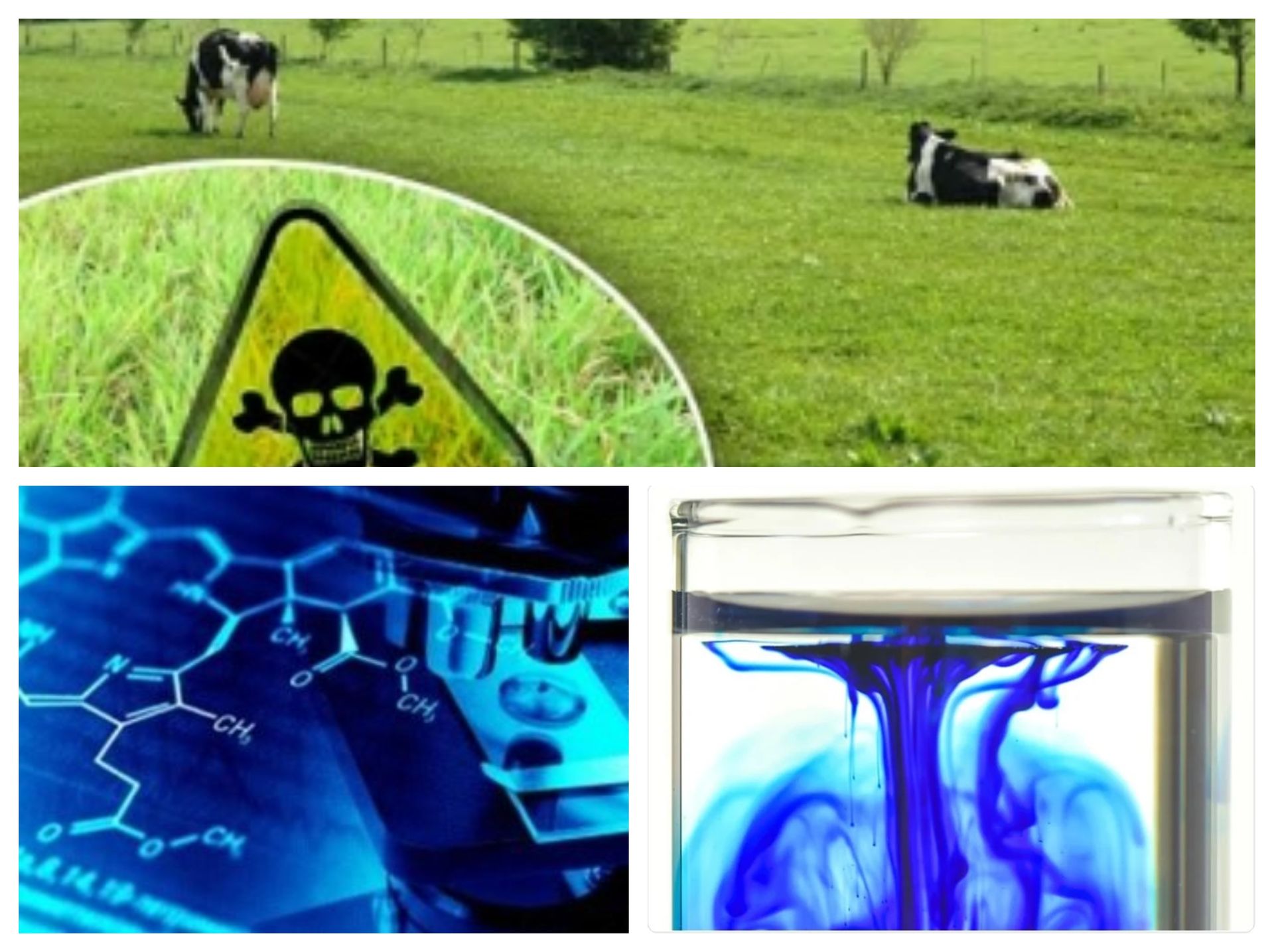 KESECOME ALIMENTARIA SA DE CV