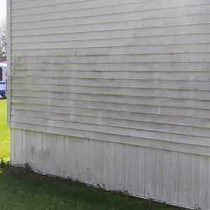 White siding of a house covered in mildew. Green grass and a parked vehicle are visible.