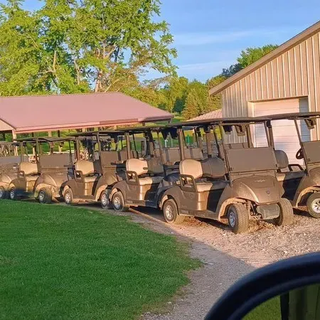 A line of golf carts parked near a building and green grass.