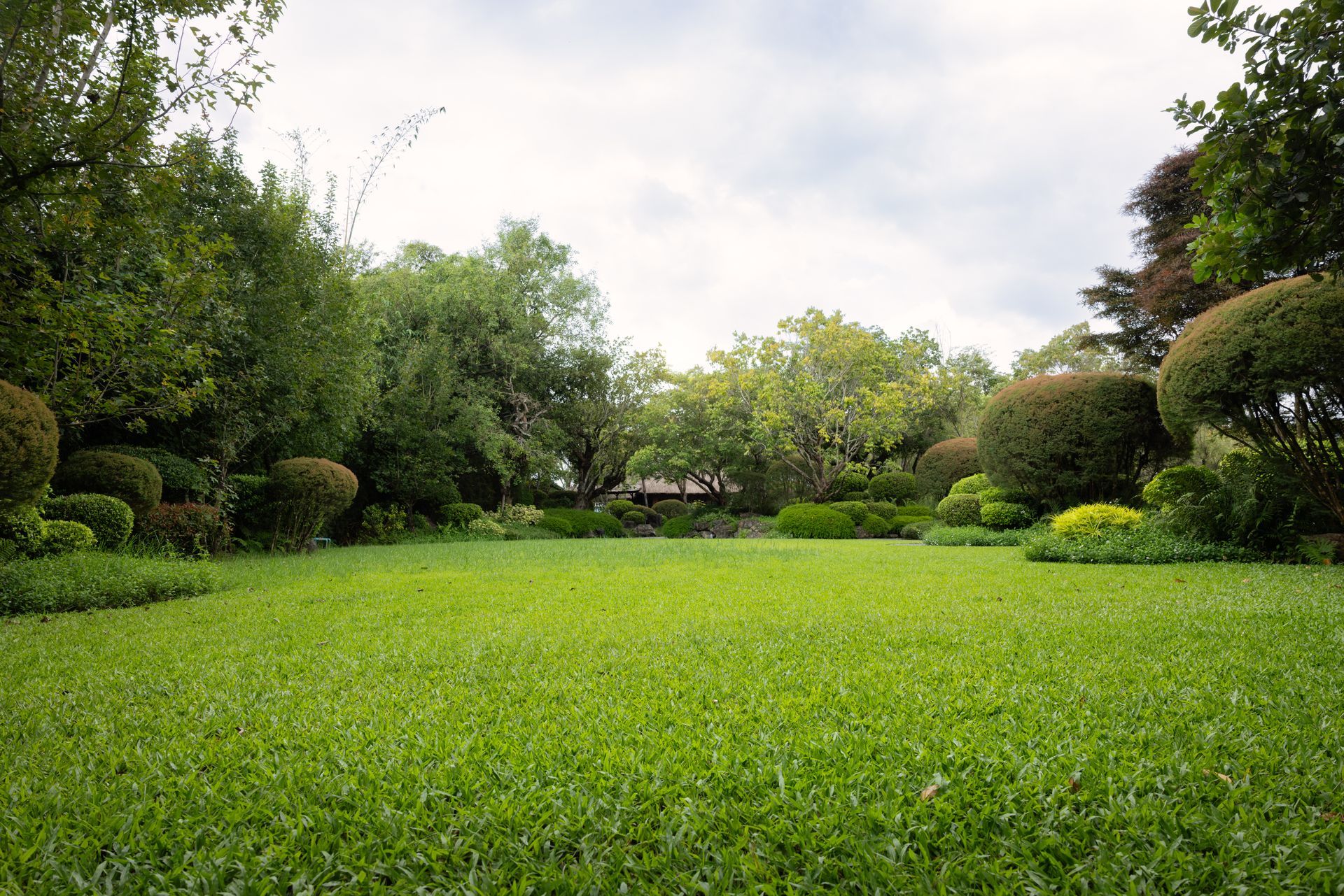 Lush green lawn surrounded by trees and bushes under an overcast sky.